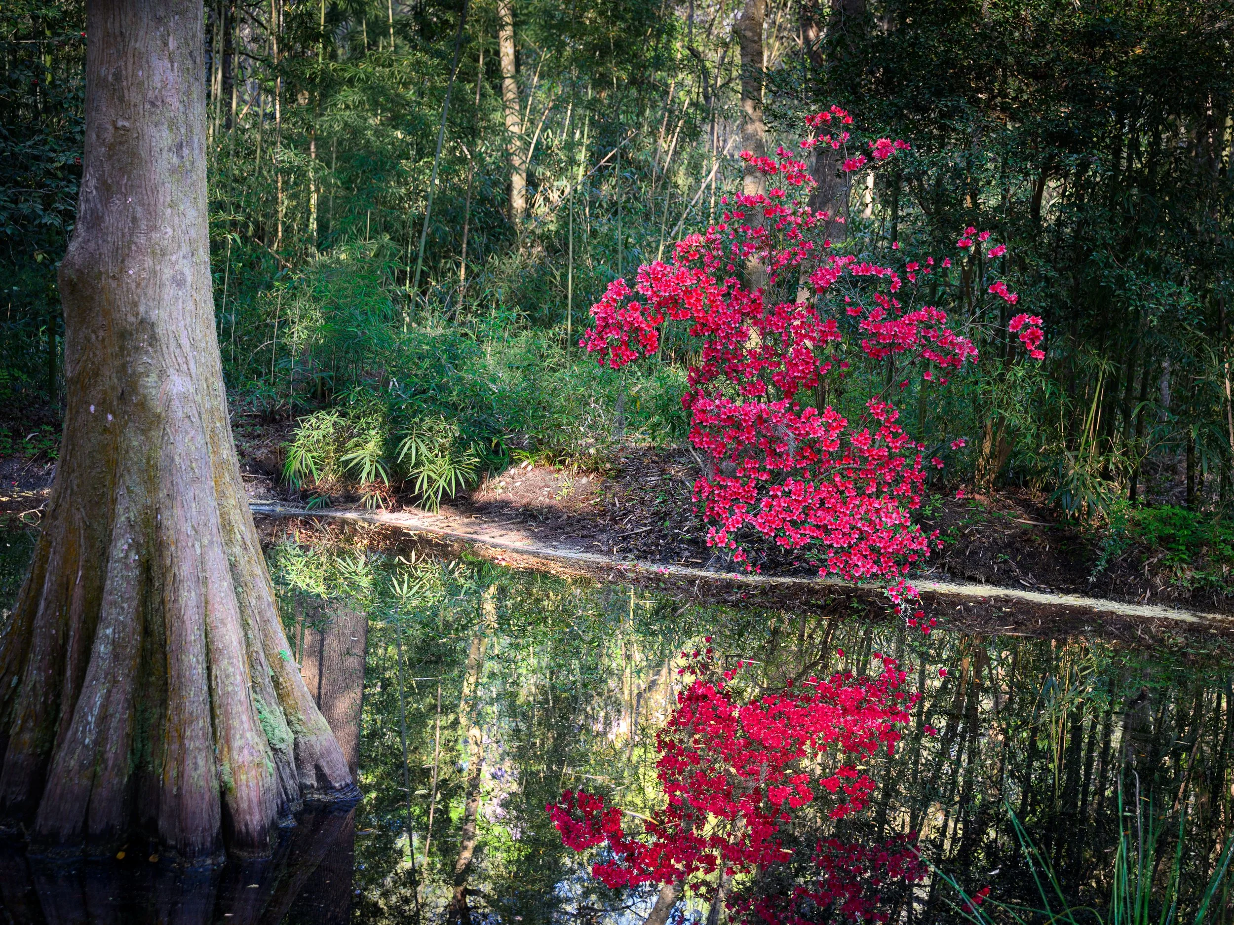 FAA upnext 3-28a-2.jpg