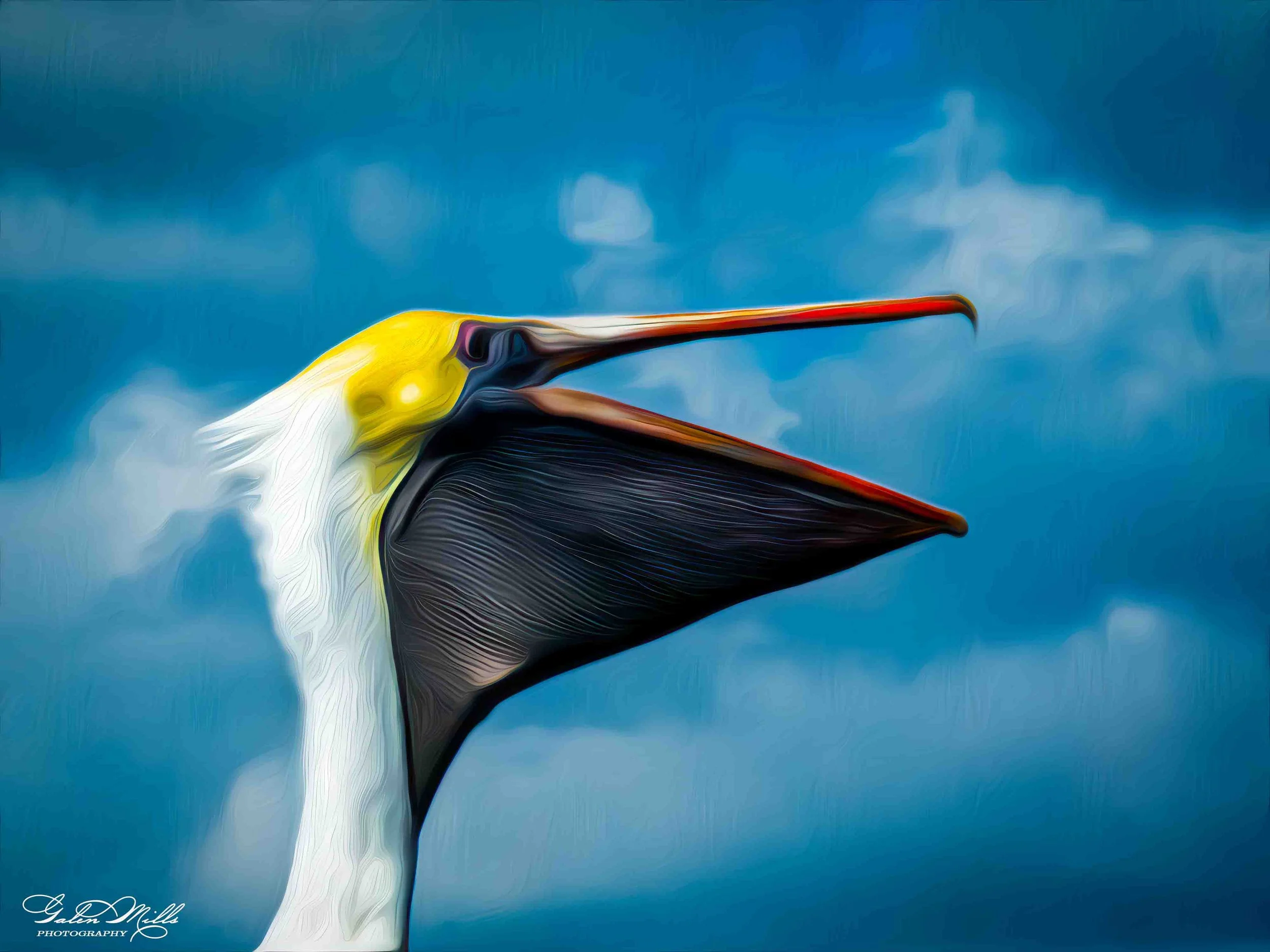 Avian Gallery-27.jpg (Copy) (Copy)