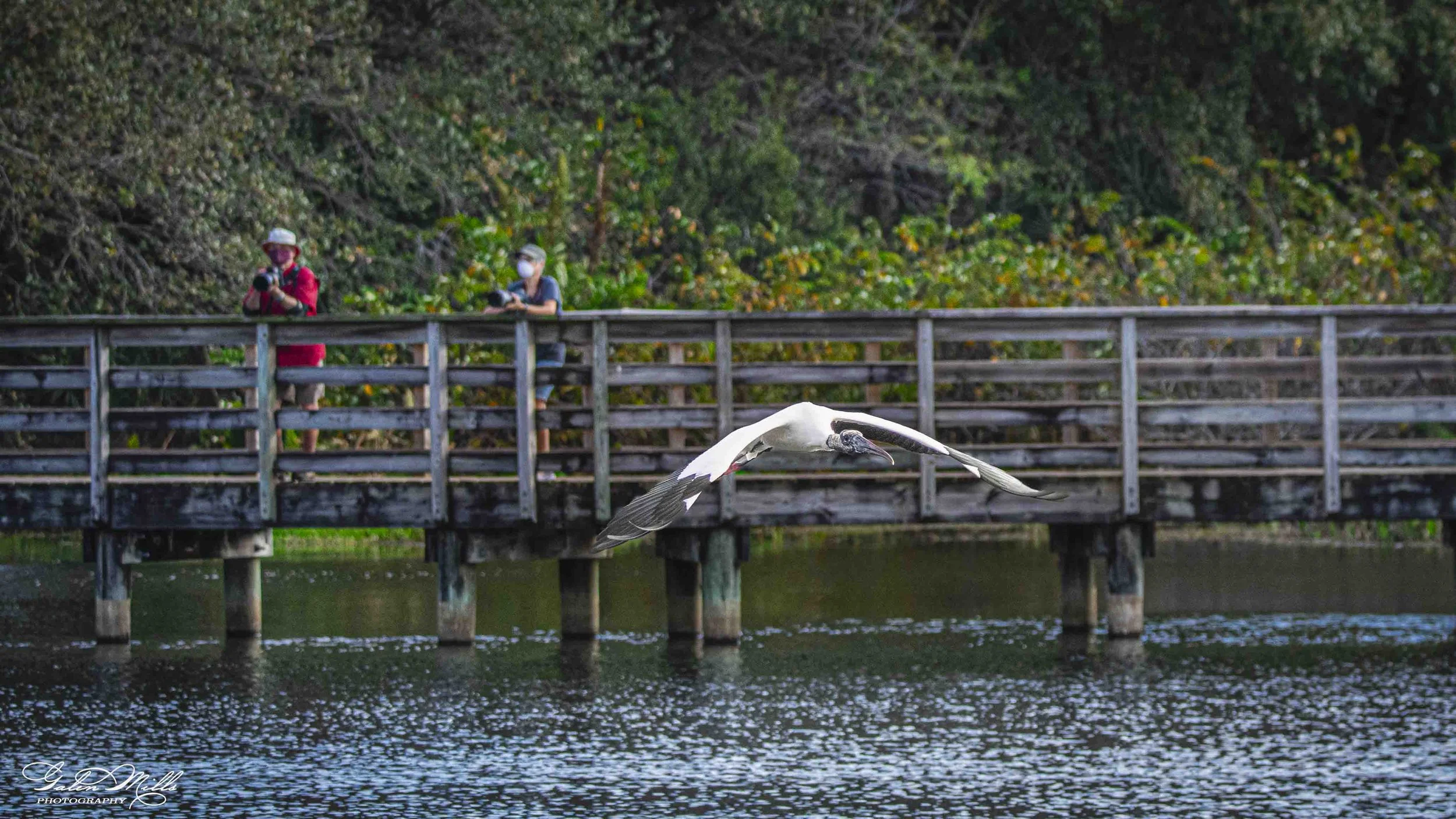 Wakodahatchee Wetlands