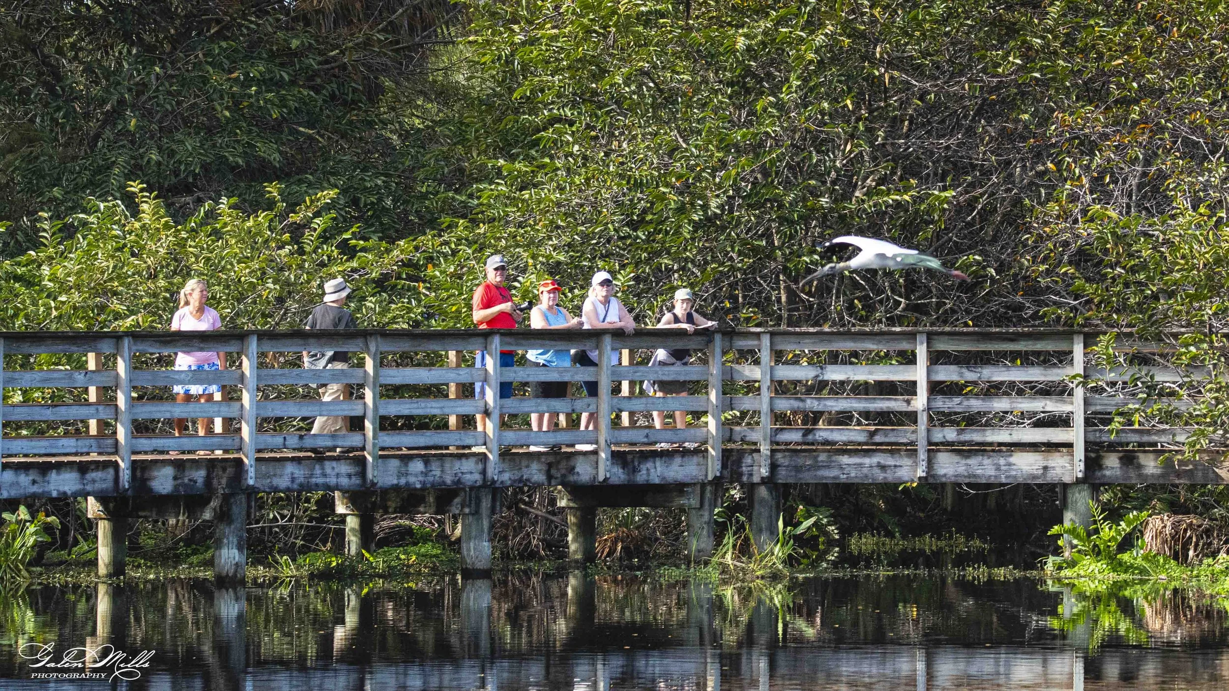 Wakodahatchee Wetlands
