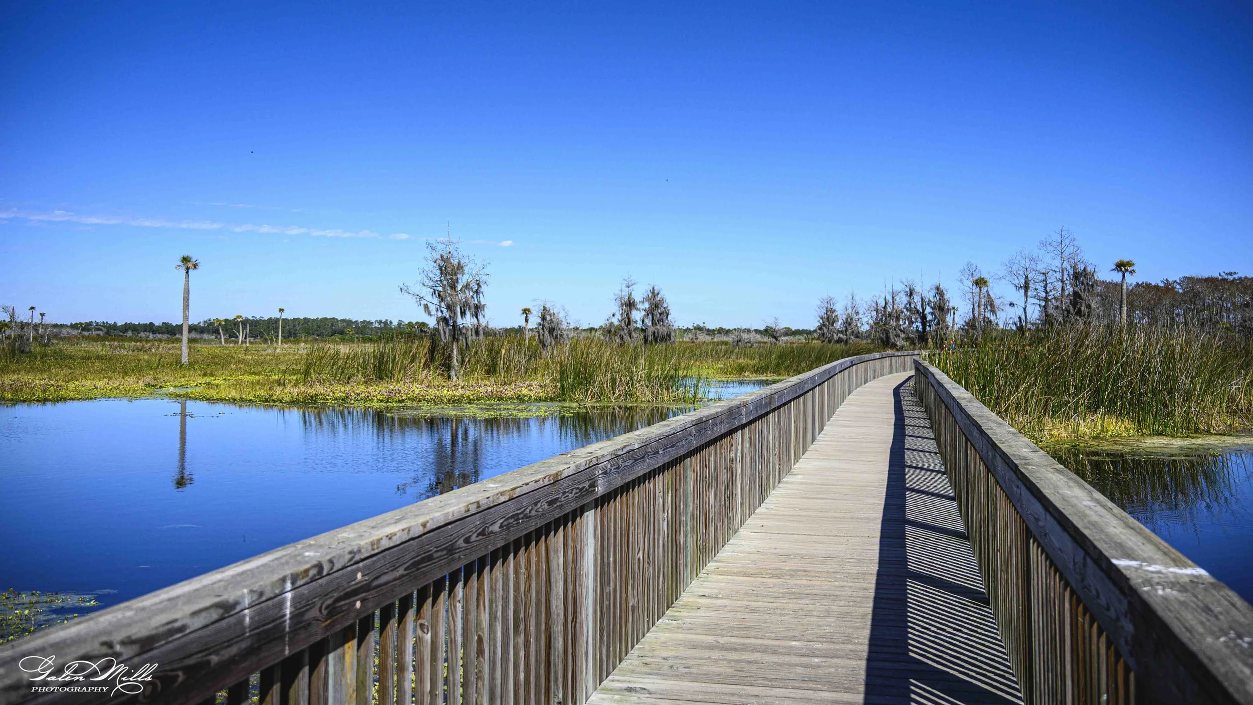 Orlando Wetlands