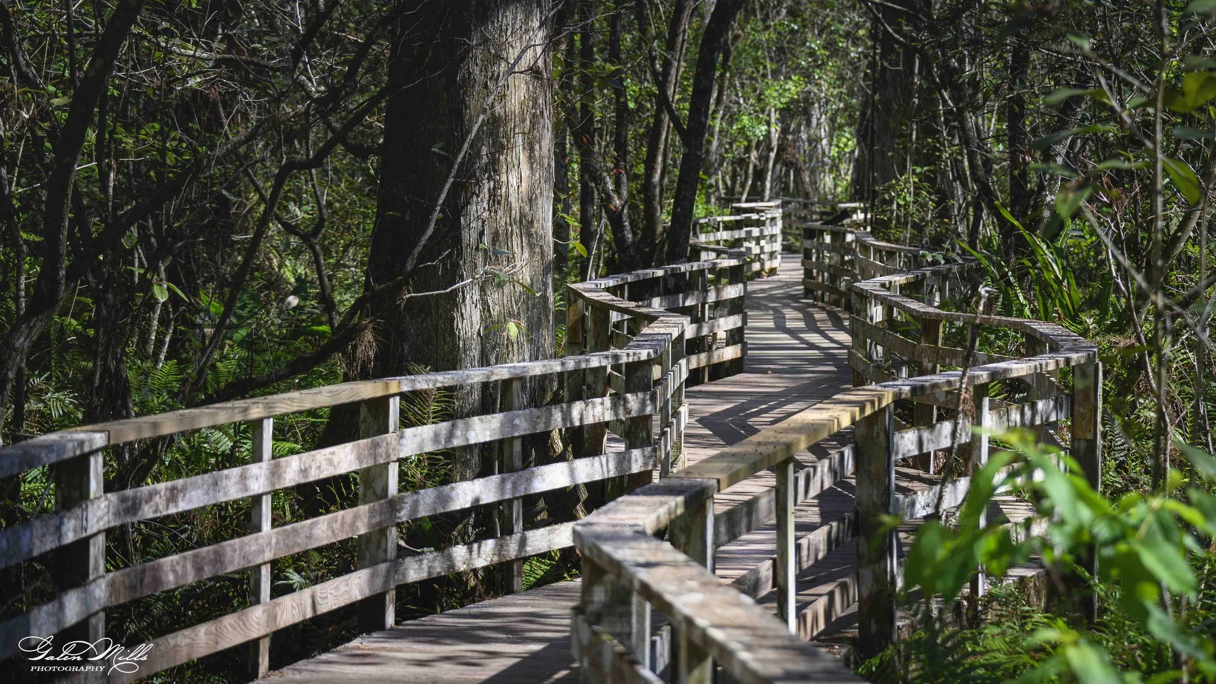 Corkscrew Swamp Sanctuary