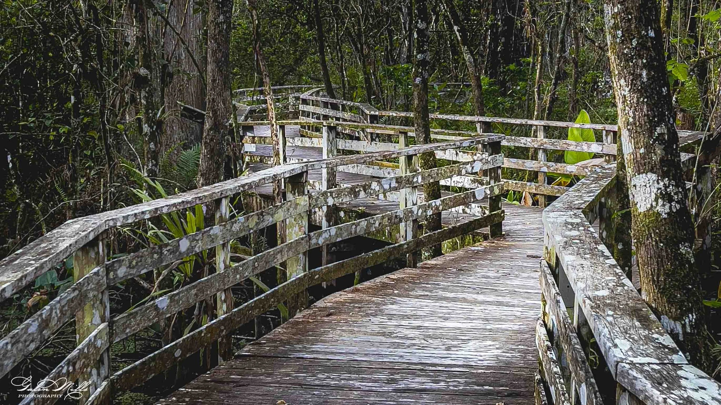 Corkscrew Swamp Sanctuary