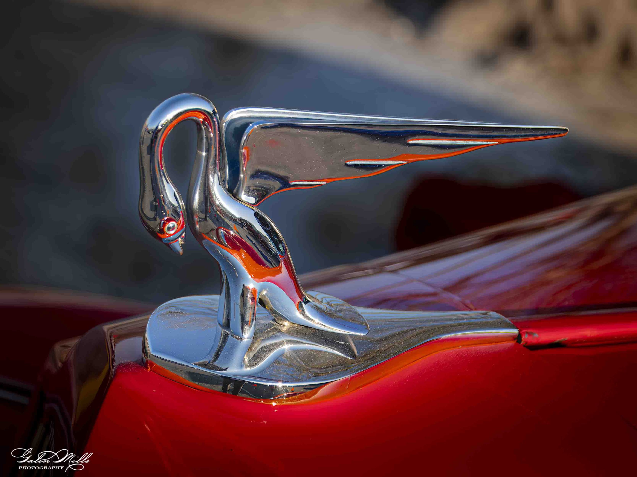 SS automotive-63.jpg