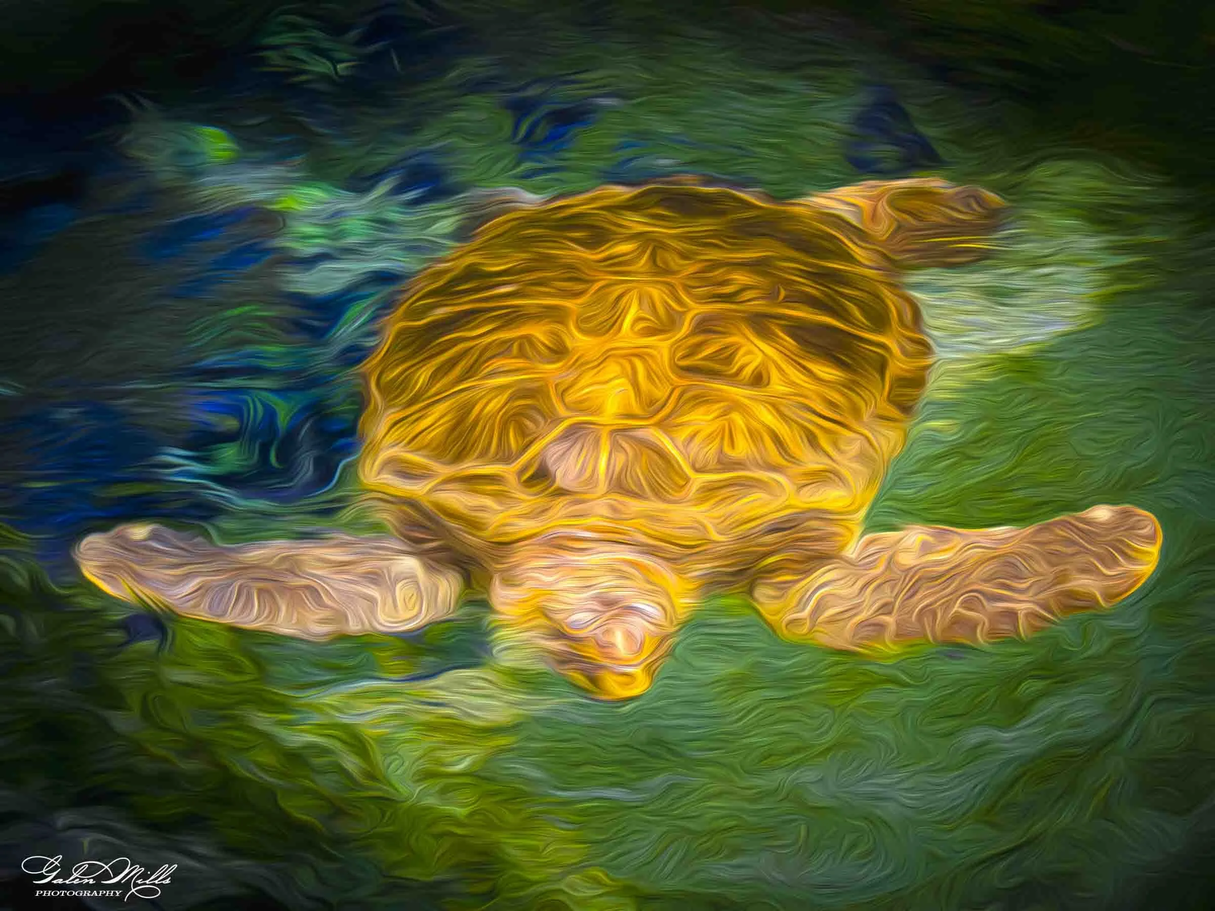 SS Photo Art -46.jpg