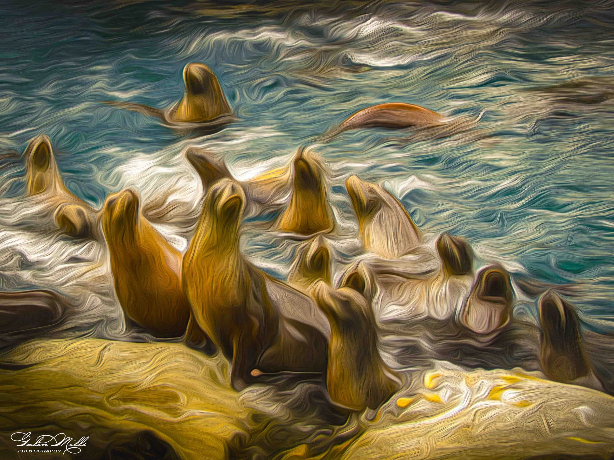 SS Photo Art -47.jpg
