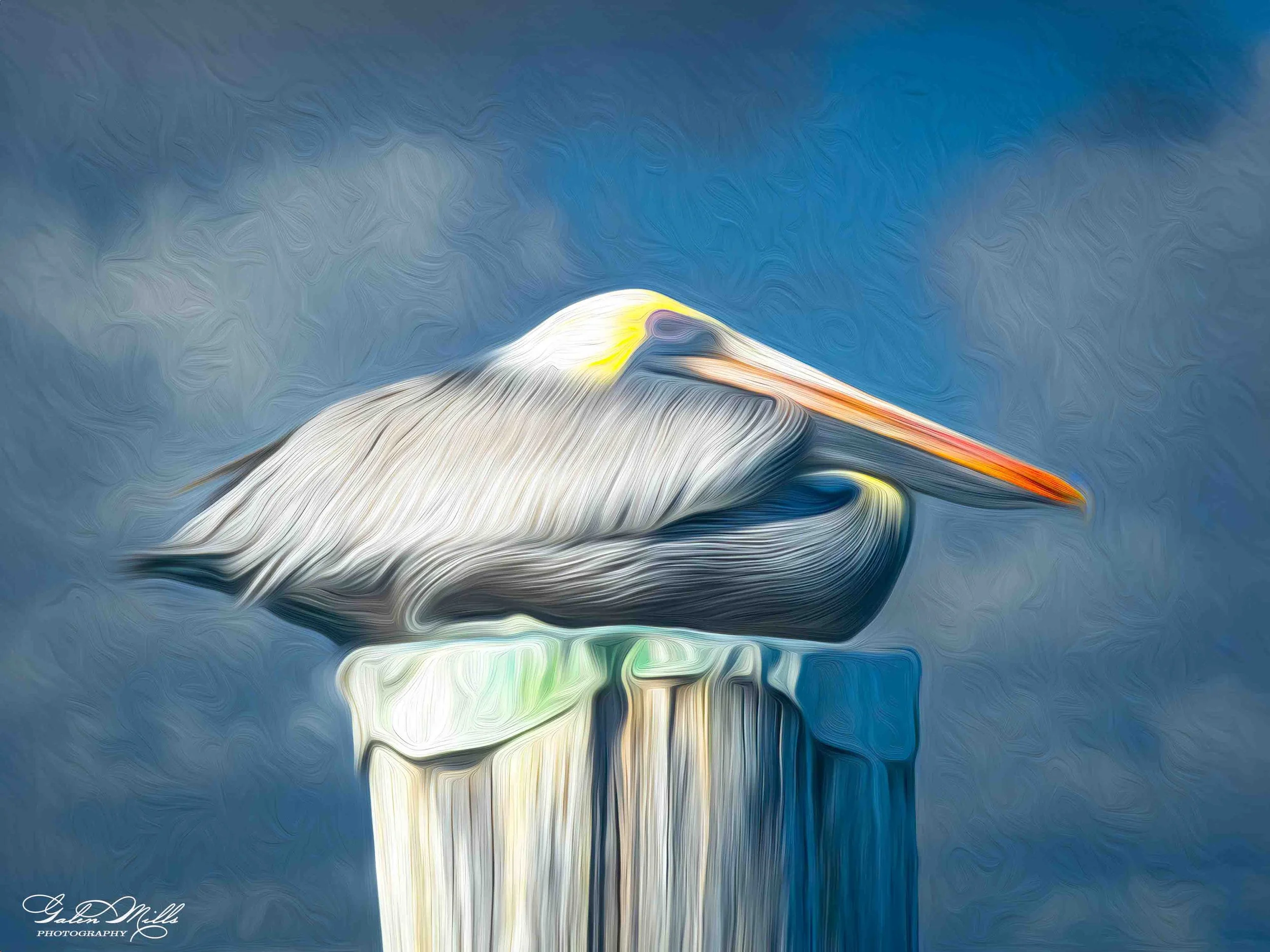 SS Photo Art -80.jpg