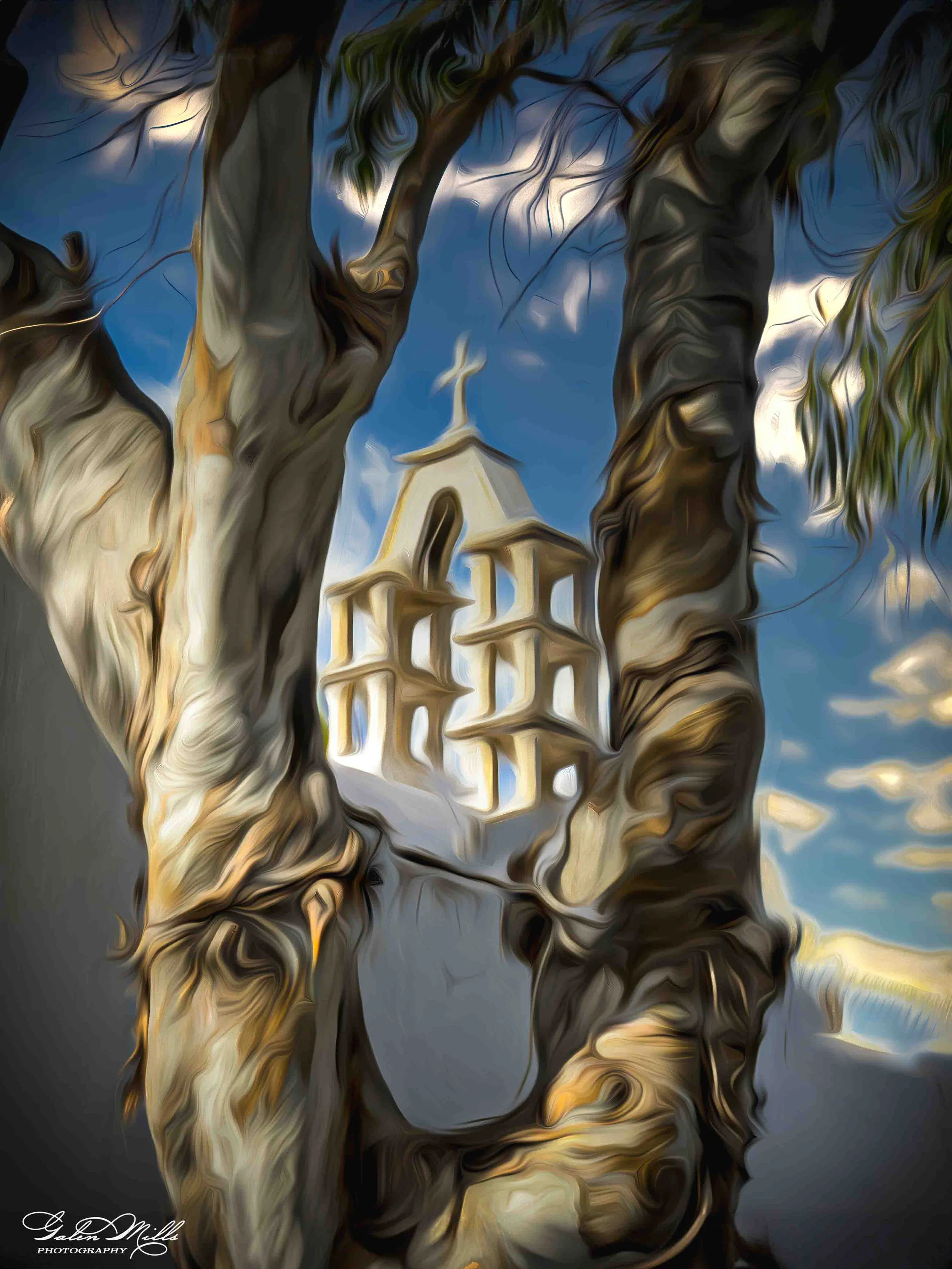 SS Photo Art -8.jpg