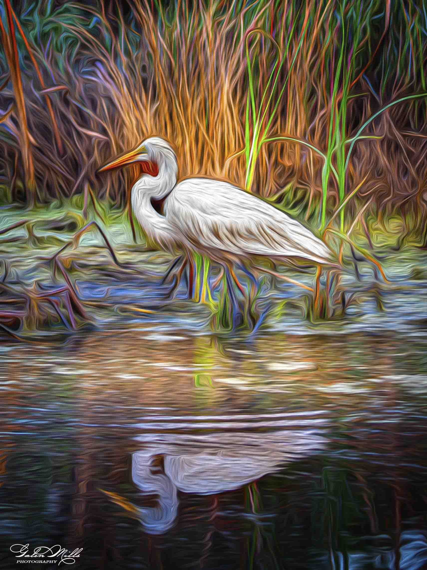 SS Photo Art -11.jpg