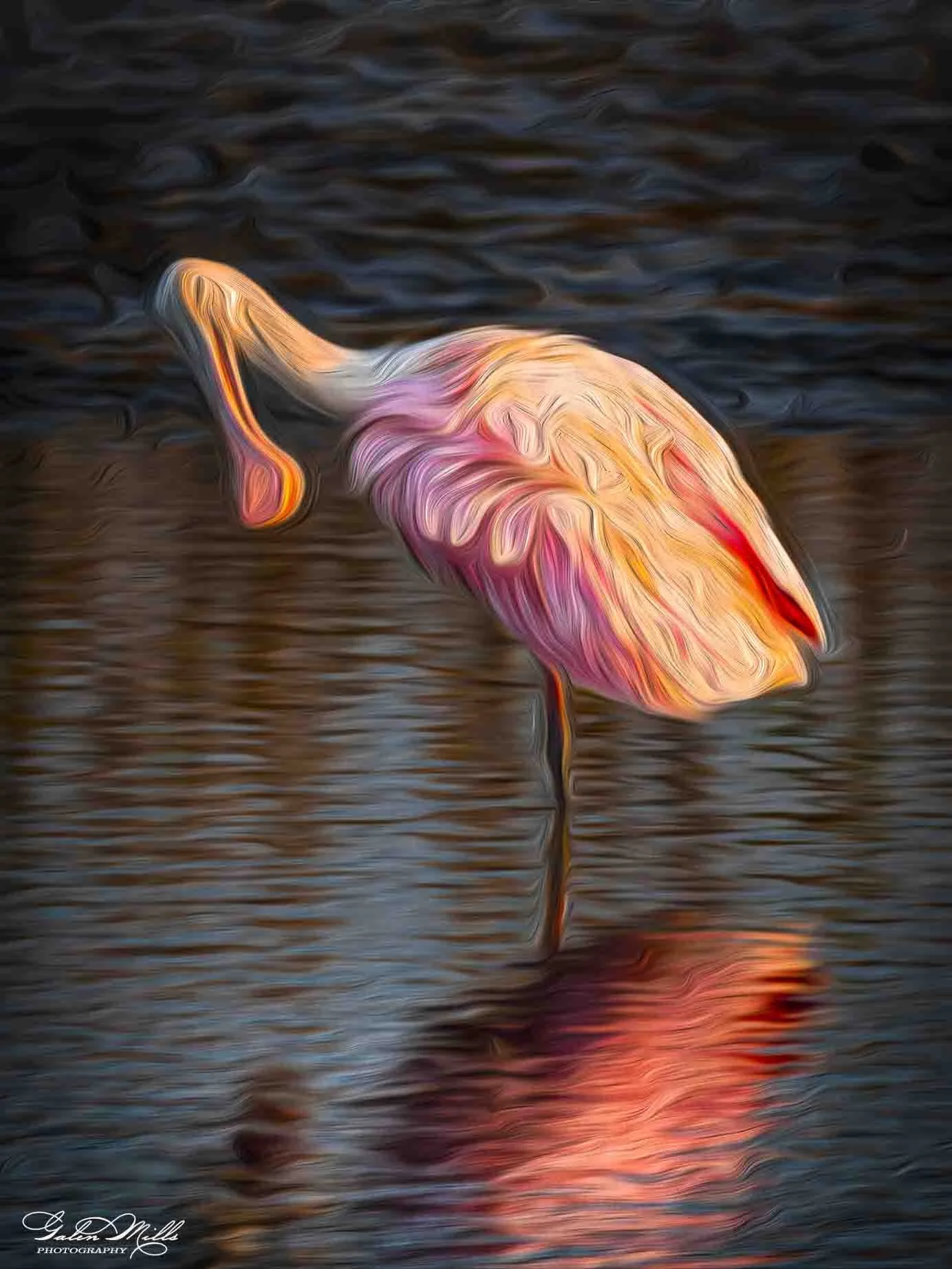 SS Photo Art -12.jpg