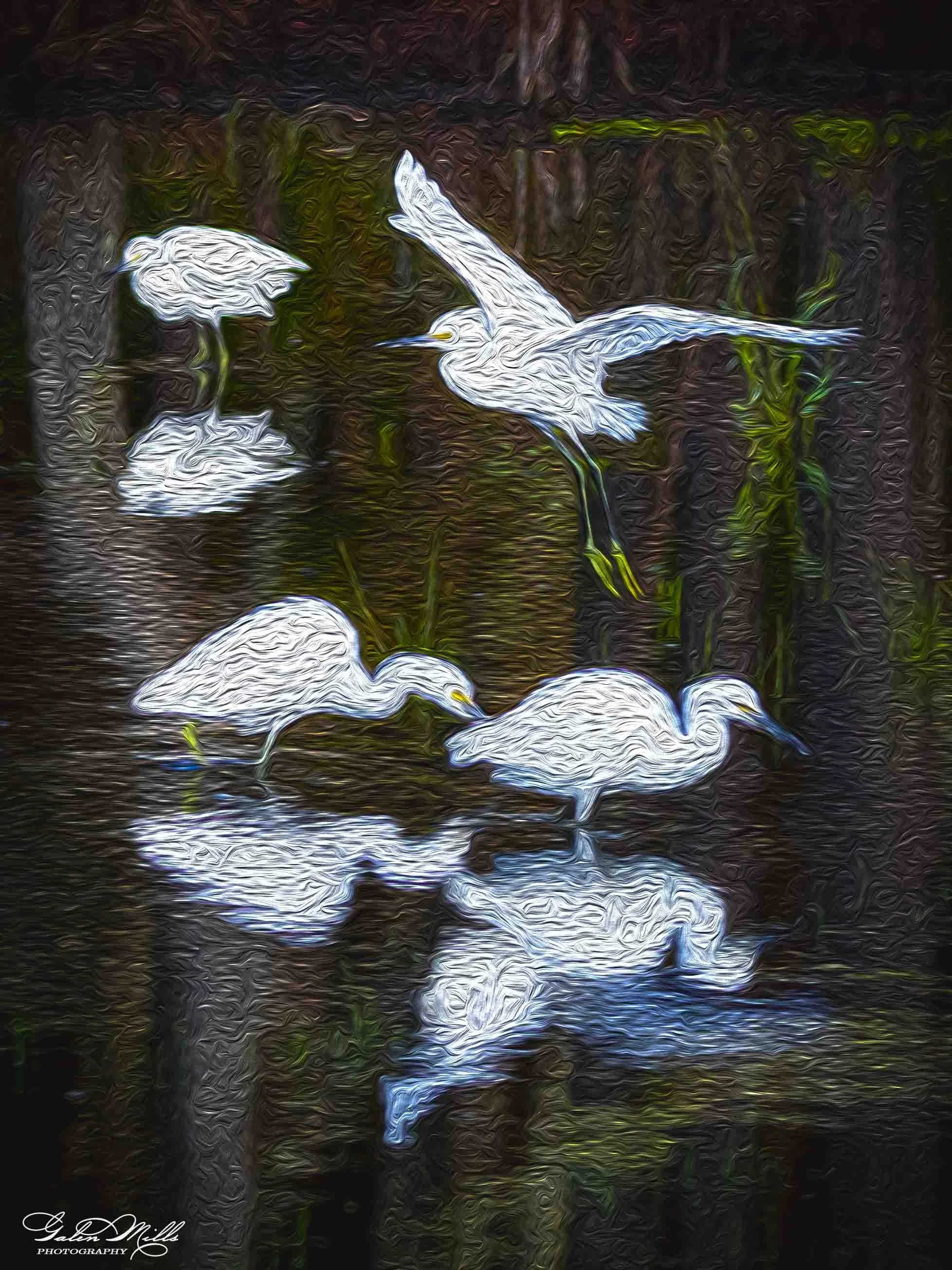 SS Photo Art -13.jpg