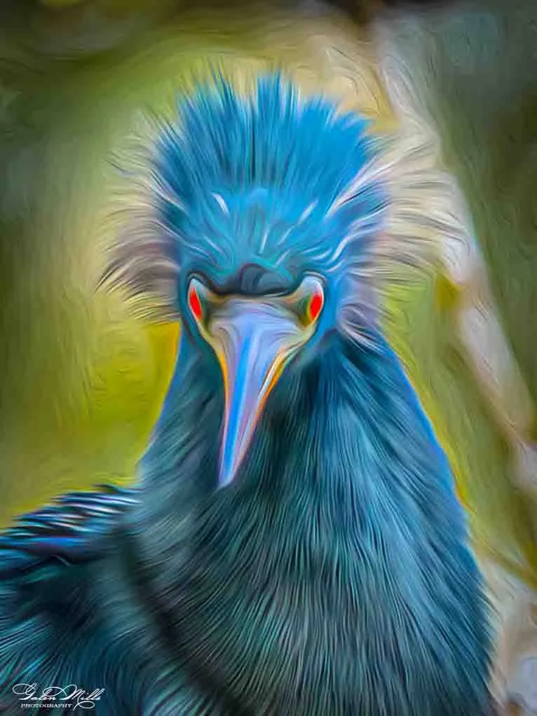 SS Photo Art -16.jpg