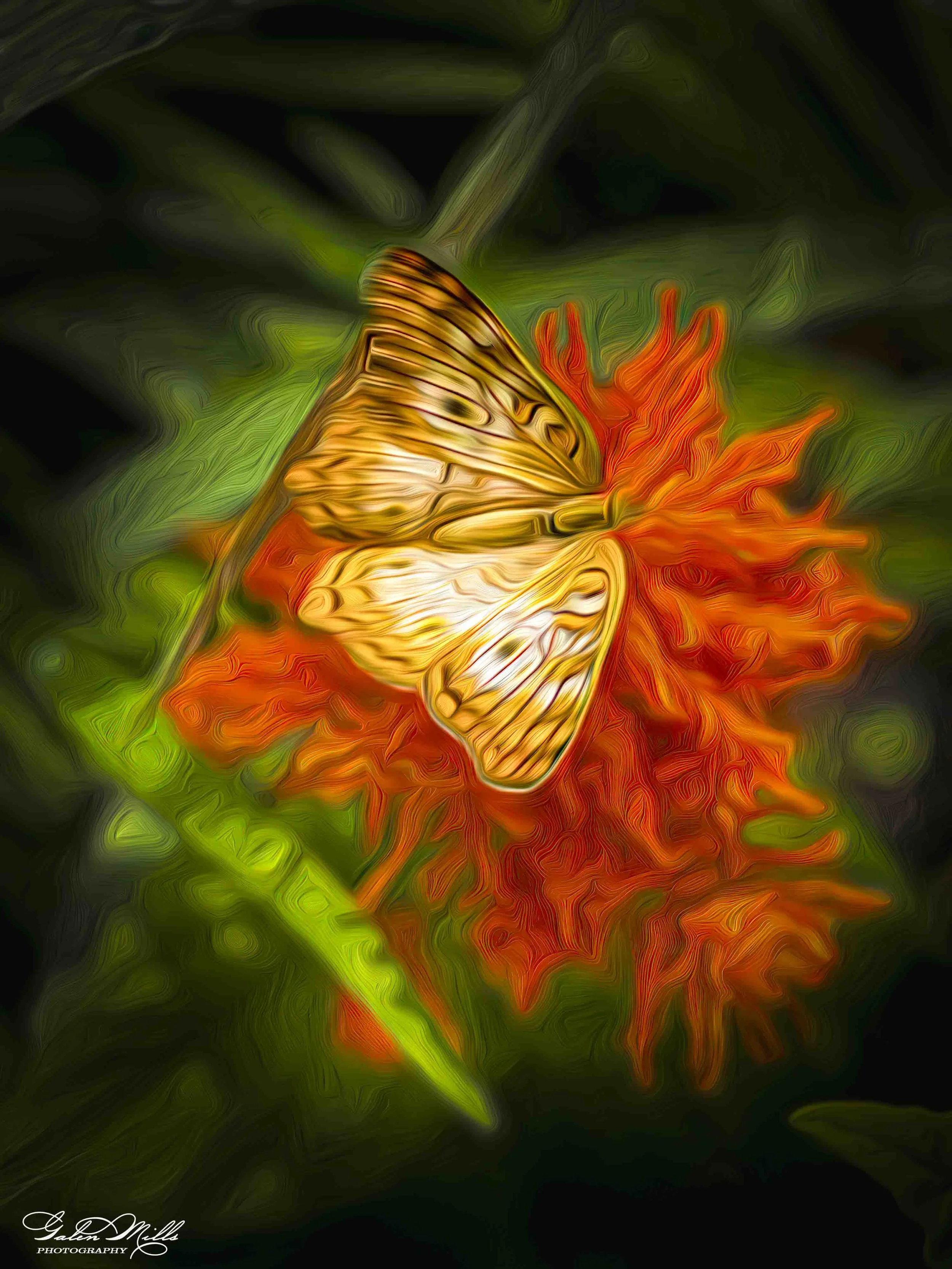 SS Photo Art -20.jpg