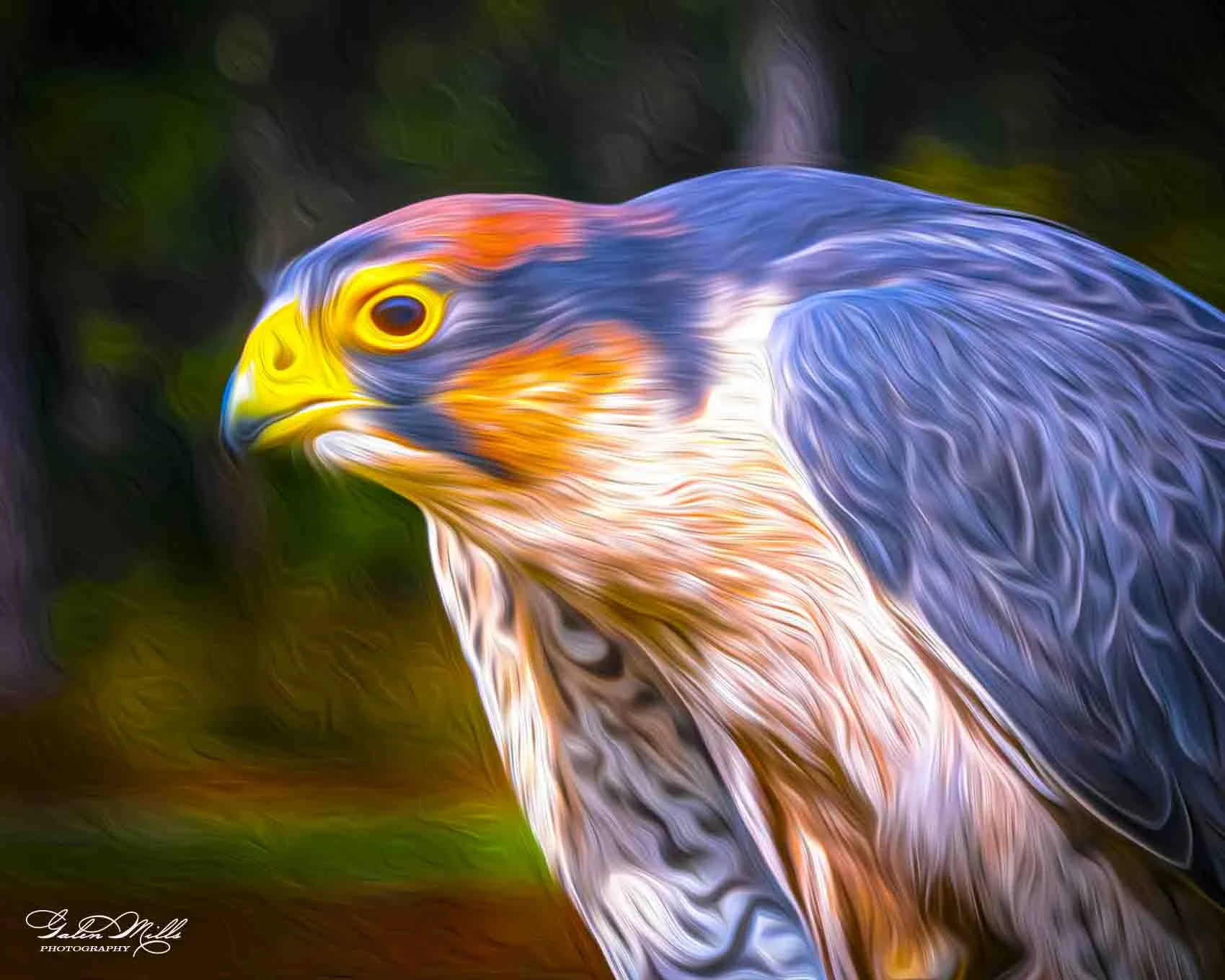 SS photo art W-16.jpg