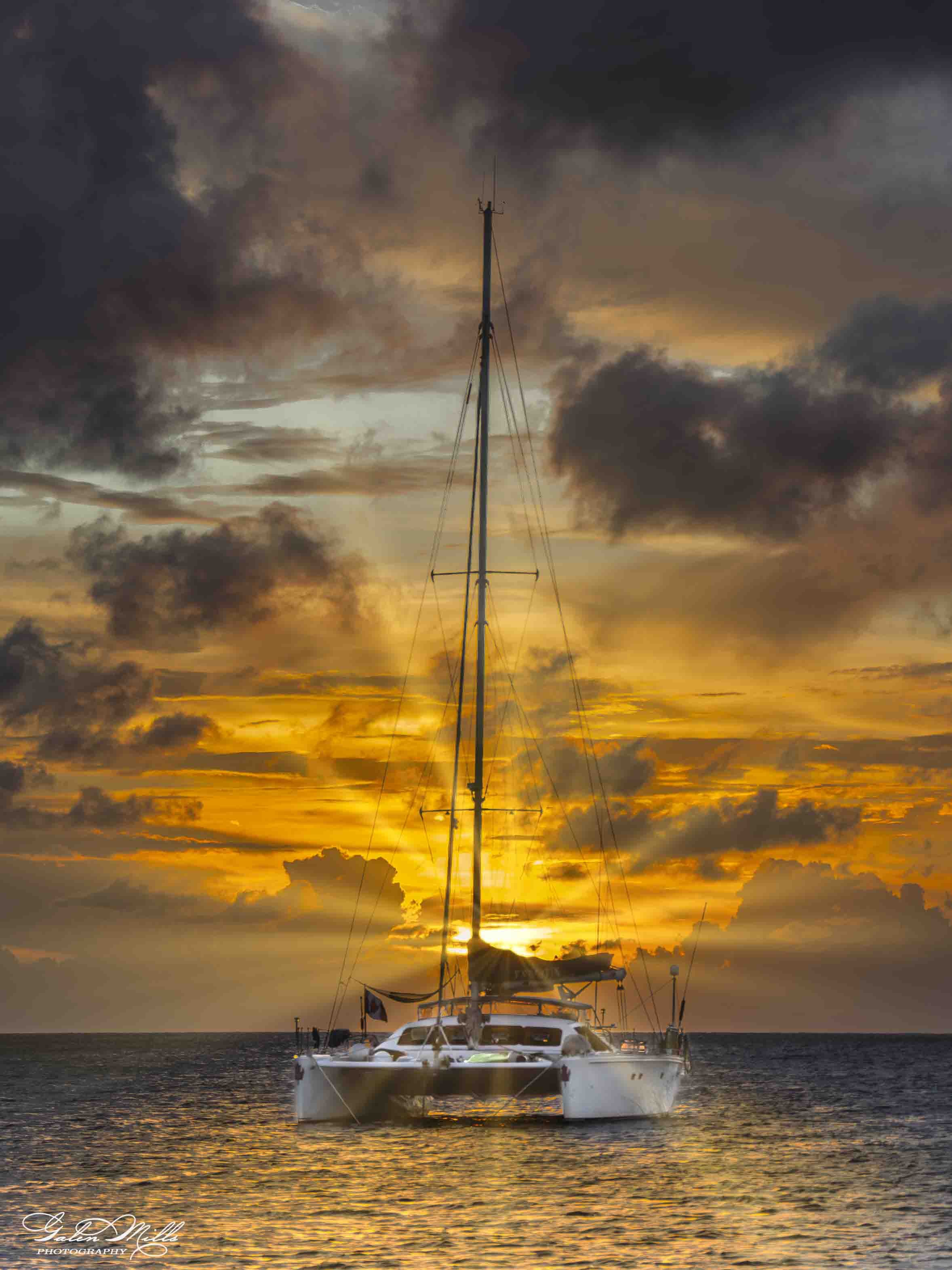 SS Golden Hor-1.jpg