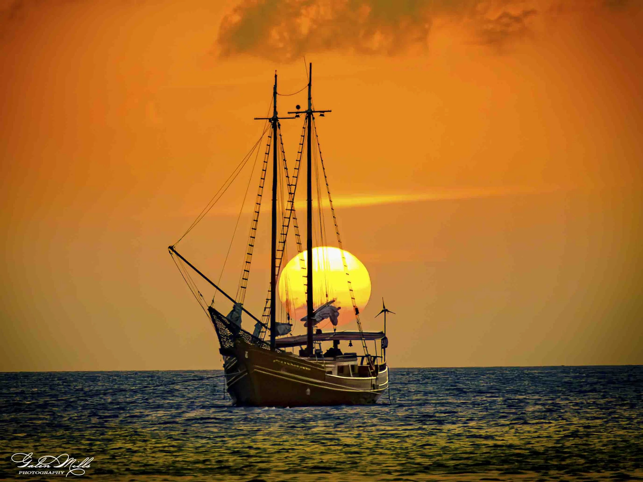 SS Golden Hor-23.jpg