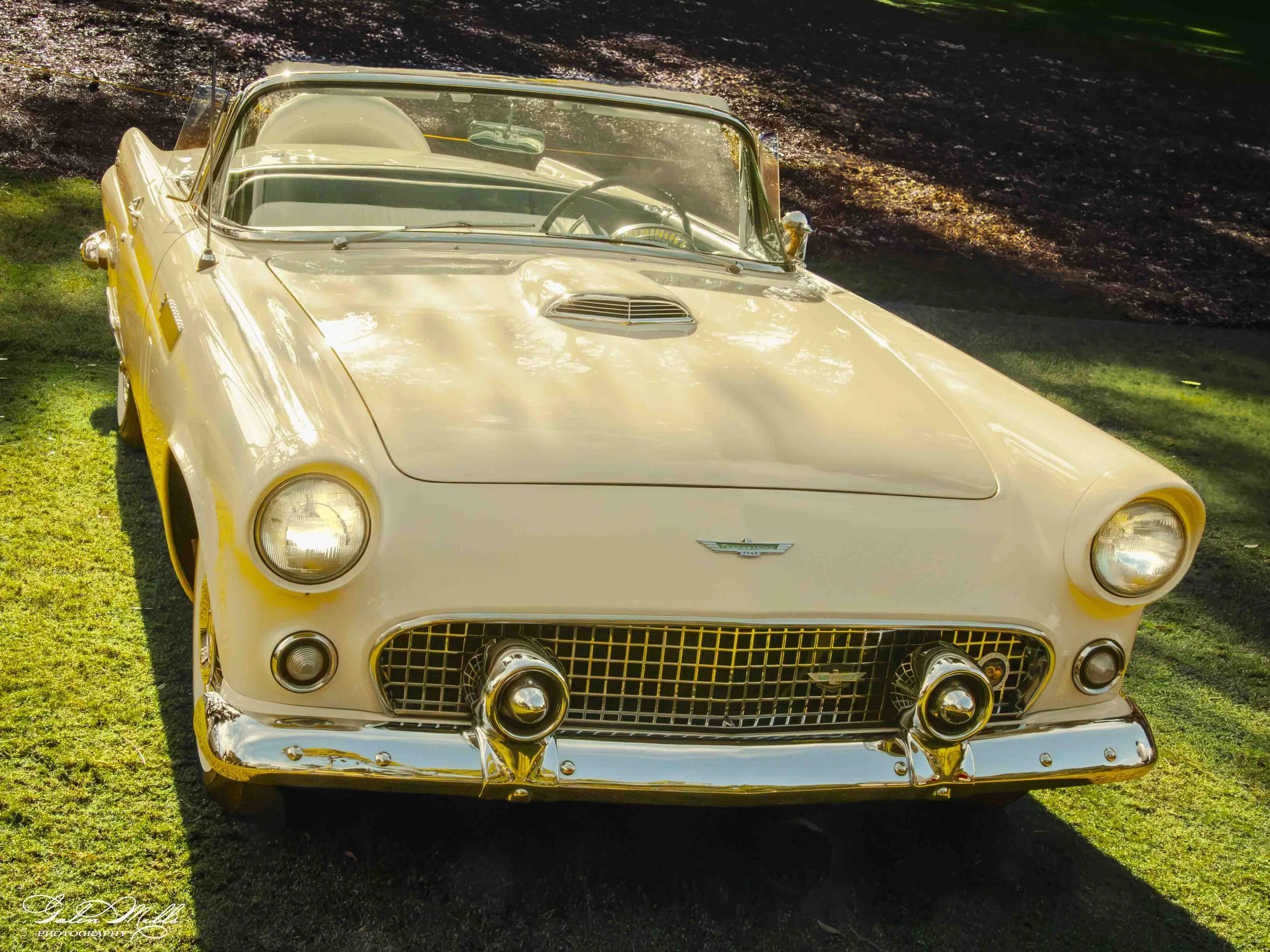 SS Concorse C-6.jpg