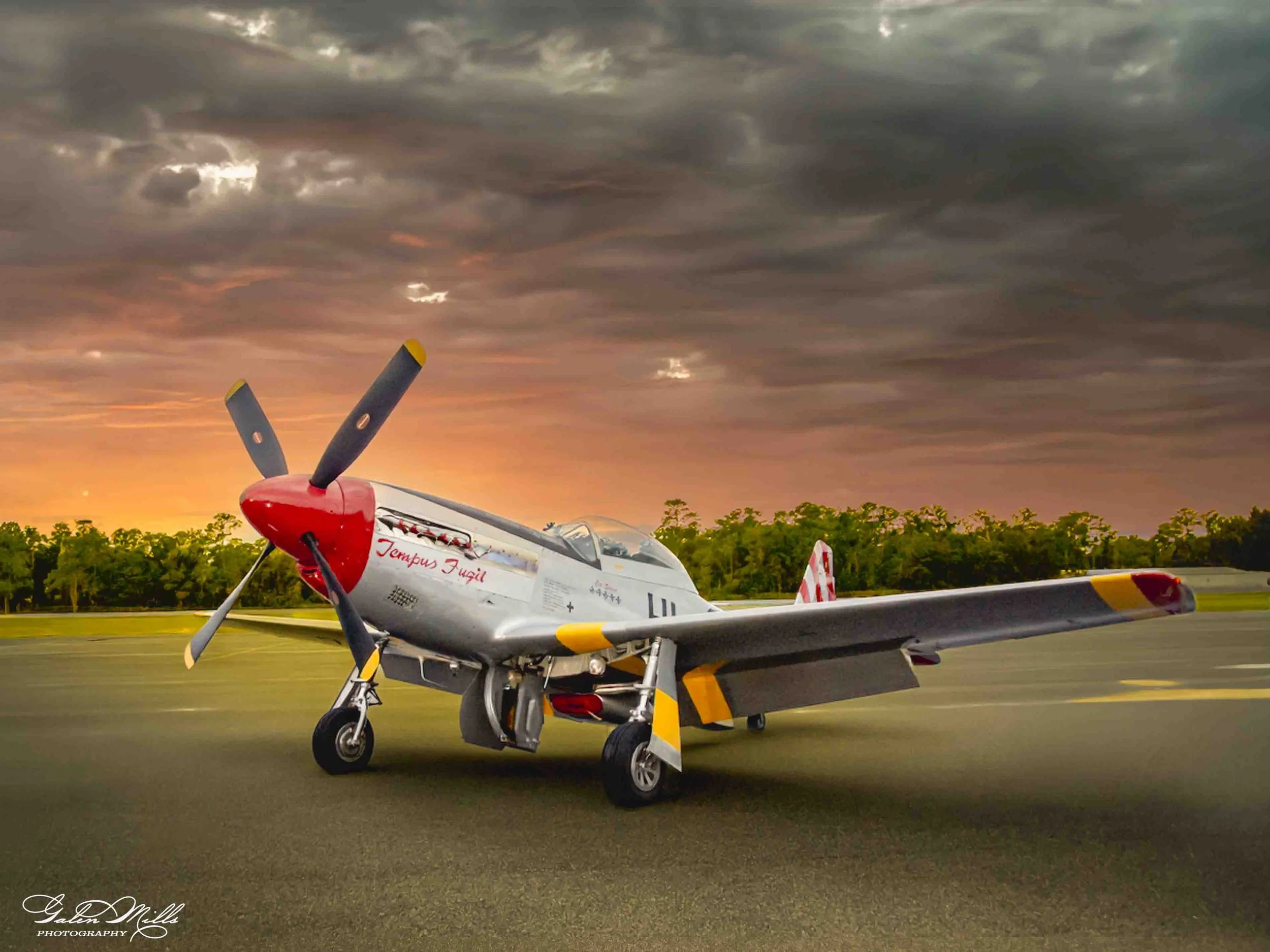 SS Flight Fancy-45.jpg