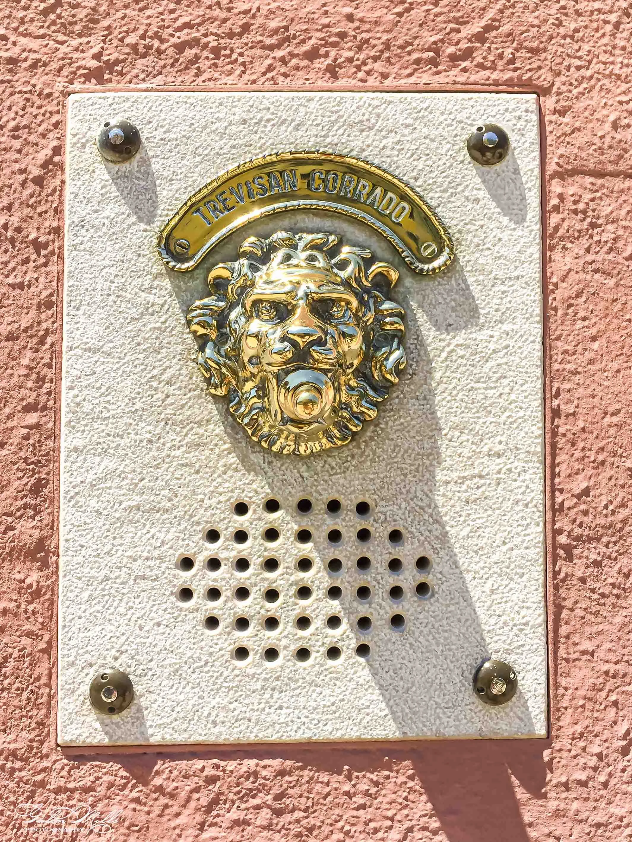 Close-up of a decorative lion head street number plaque with the name 'Trevizan-Gordo' in gold and blue, mounted on a textured pink wall. The plaque is secured with four screws, one at each corner. Below the plaque, there are small holes in the wall.