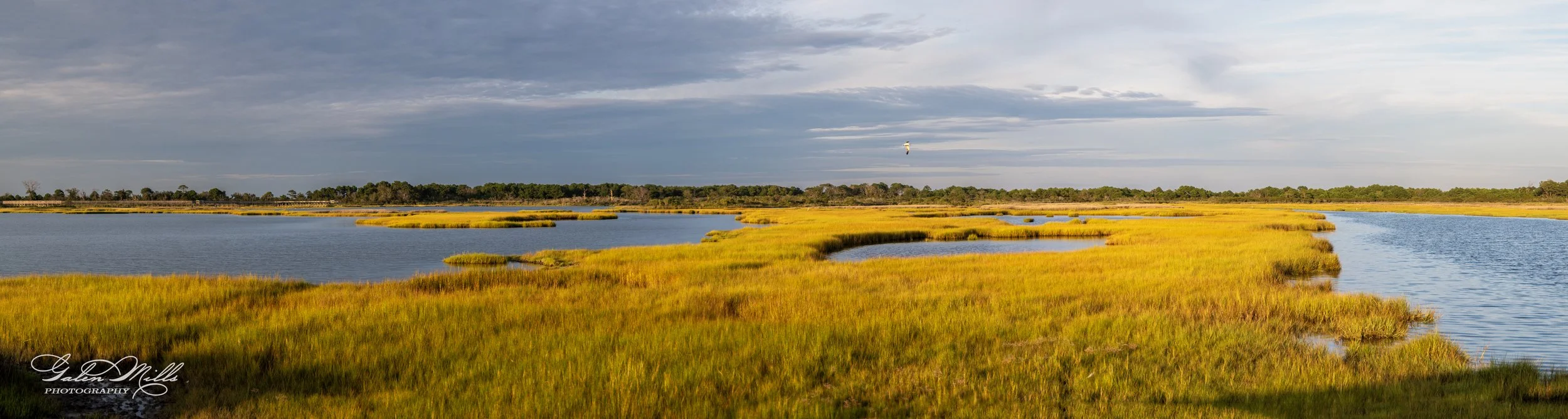 Panoramic view of a marsh landscape with yellow and green grass, blue water channels, and a partly cloudy sky.