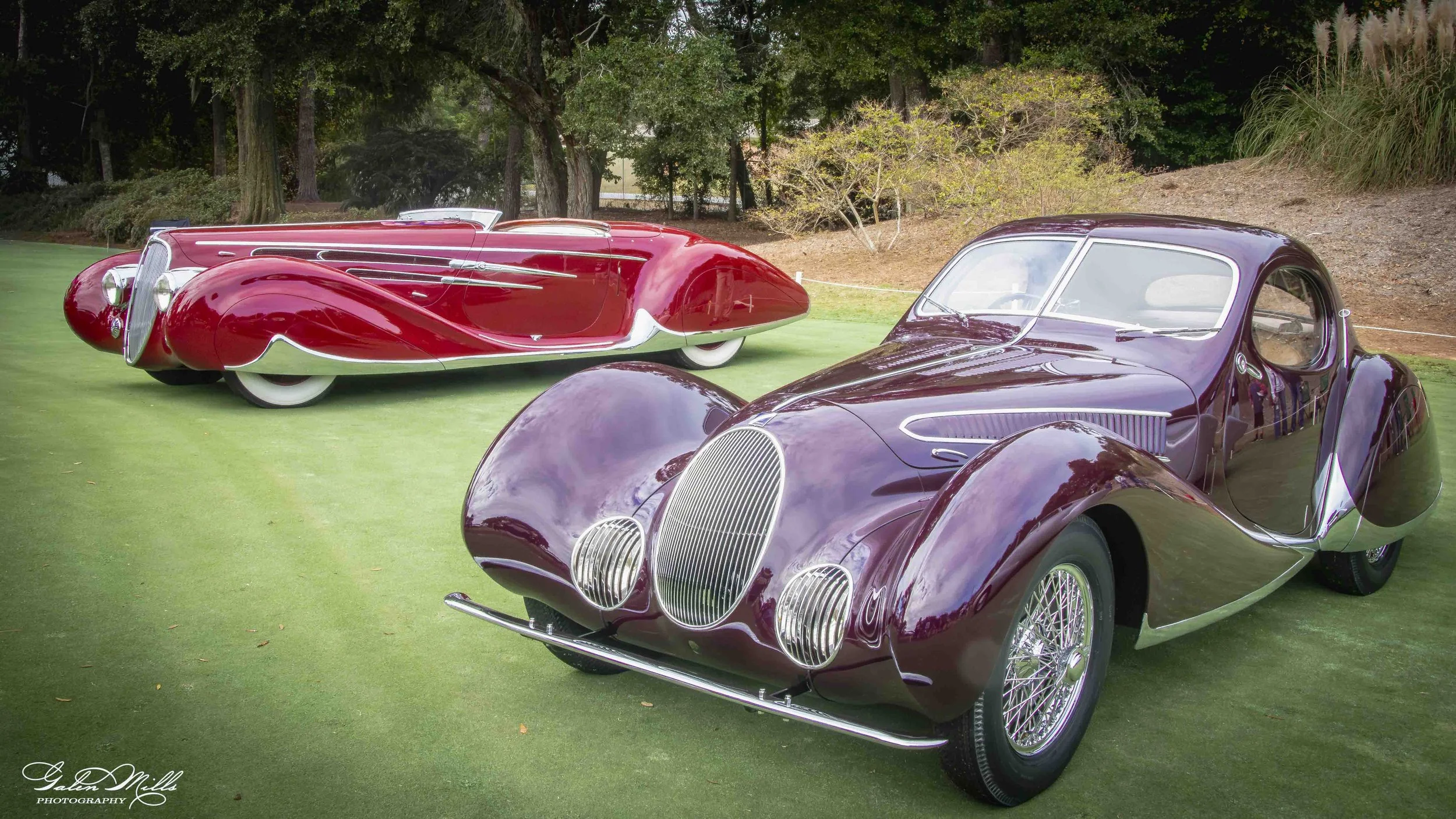 Vintage cars displayed outdoors on a grassy area with trees and bushes in the background.