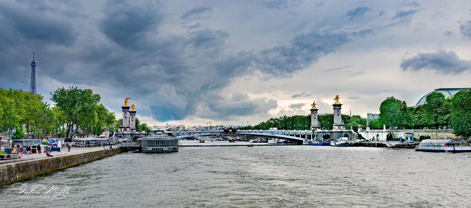 View of the Eiffel Tower and Pont Alexandre III in Paris with cloudy skies, river, and trees.