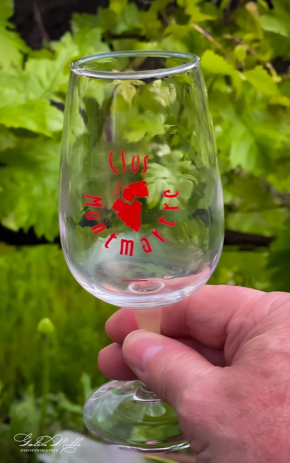 Person holding an empty wine glass with "Clos Montmartre" logo, in front of green foliage.