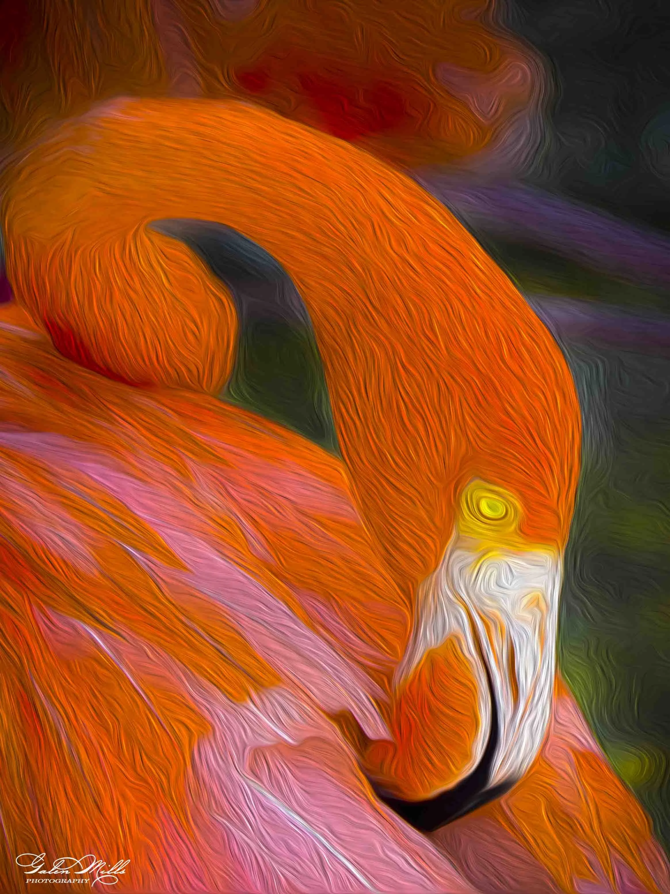 SS Photo Art -28.jpg