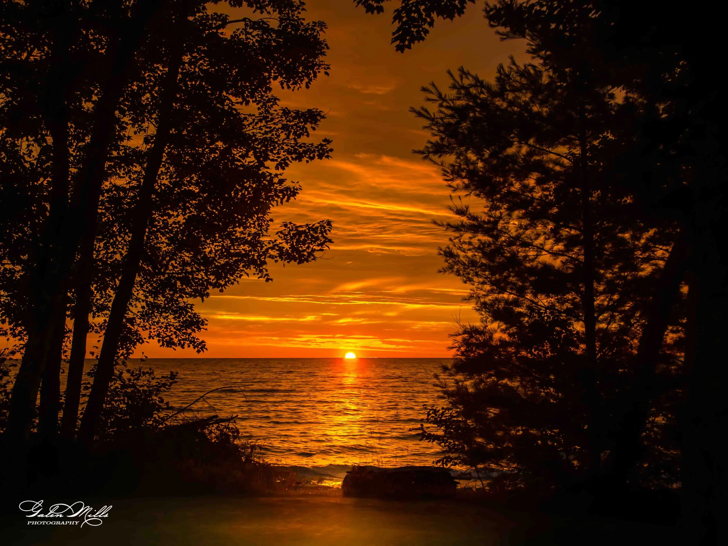 Sunset over the ocean with silhouette trees in the foreground and orange sky