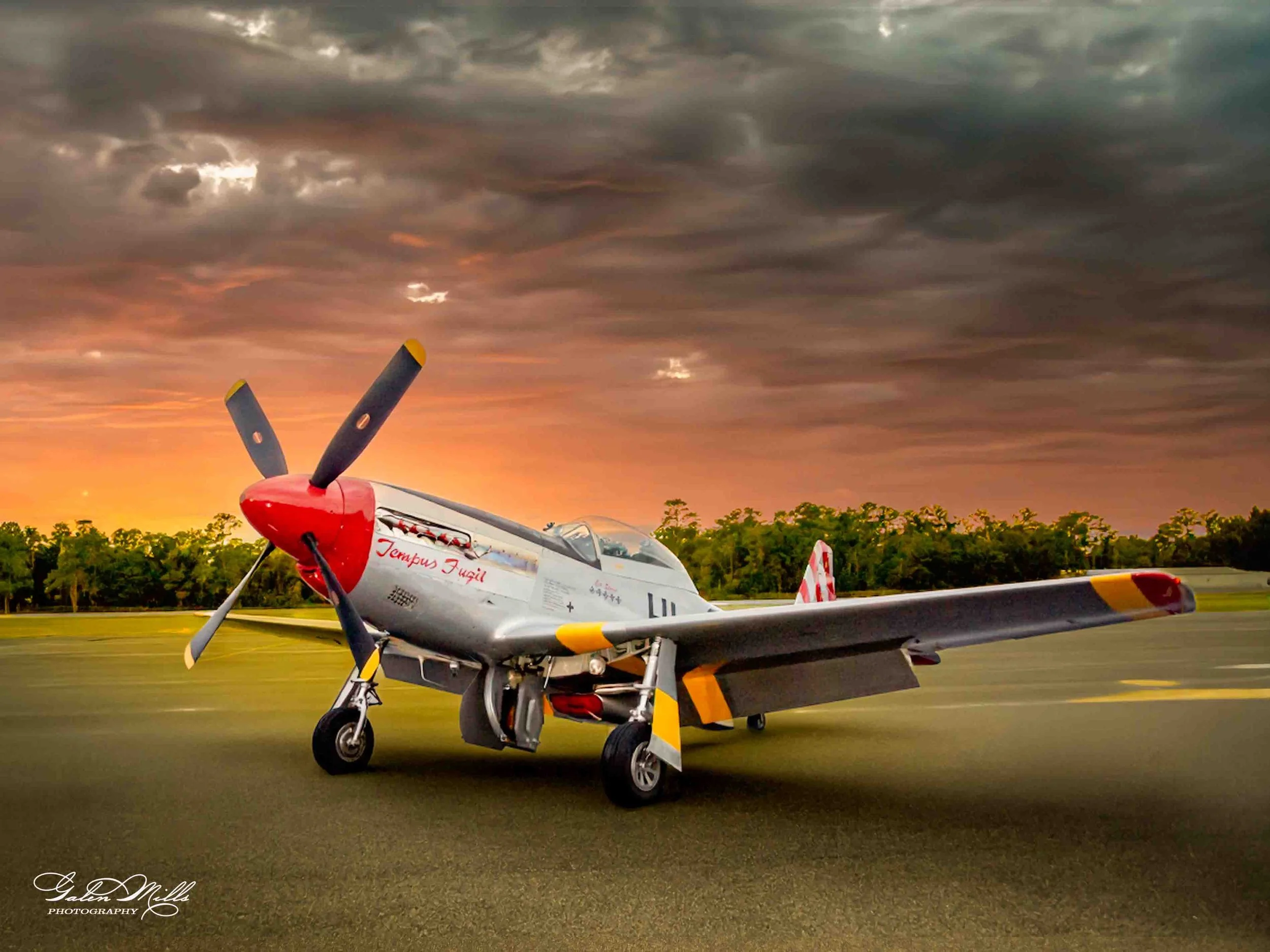 A vintage P-51 Mustang airplane with a red nose and black propeller blades parked on a runway at sunset, with trees in the background.