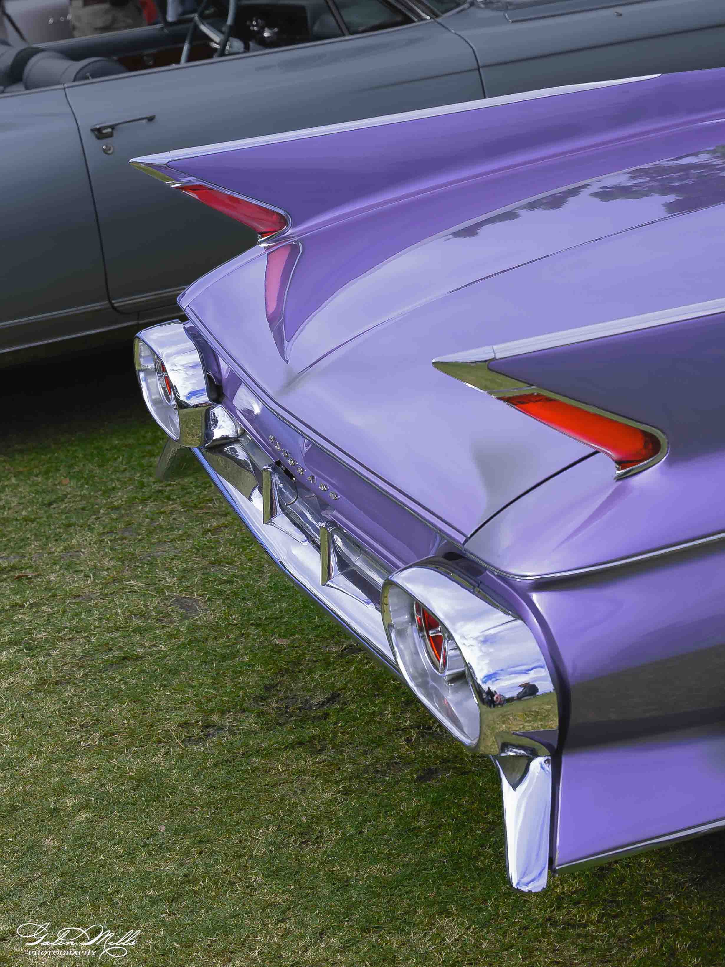 Close-up of a vintage Cadillac cars parked on grass, the purple car in front with chrome accents and a distinctive tail fin, the green car behind partially visible.