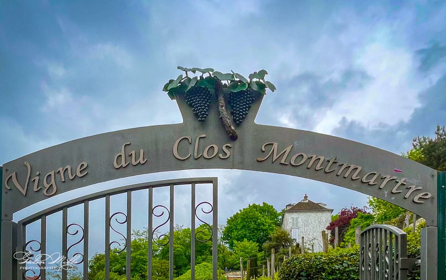 Entrance gate to Vigne du Clos Montmartre vineyard with grape decoration, surrounded by greenery.