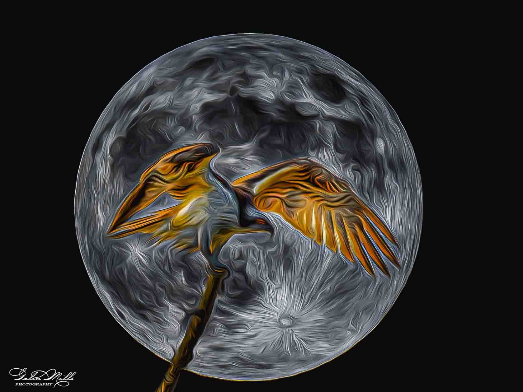 An artistic depiction of a moon with a glowing, swirling surface, featuring two orange and yellow birds perched on a branch, against a black background.