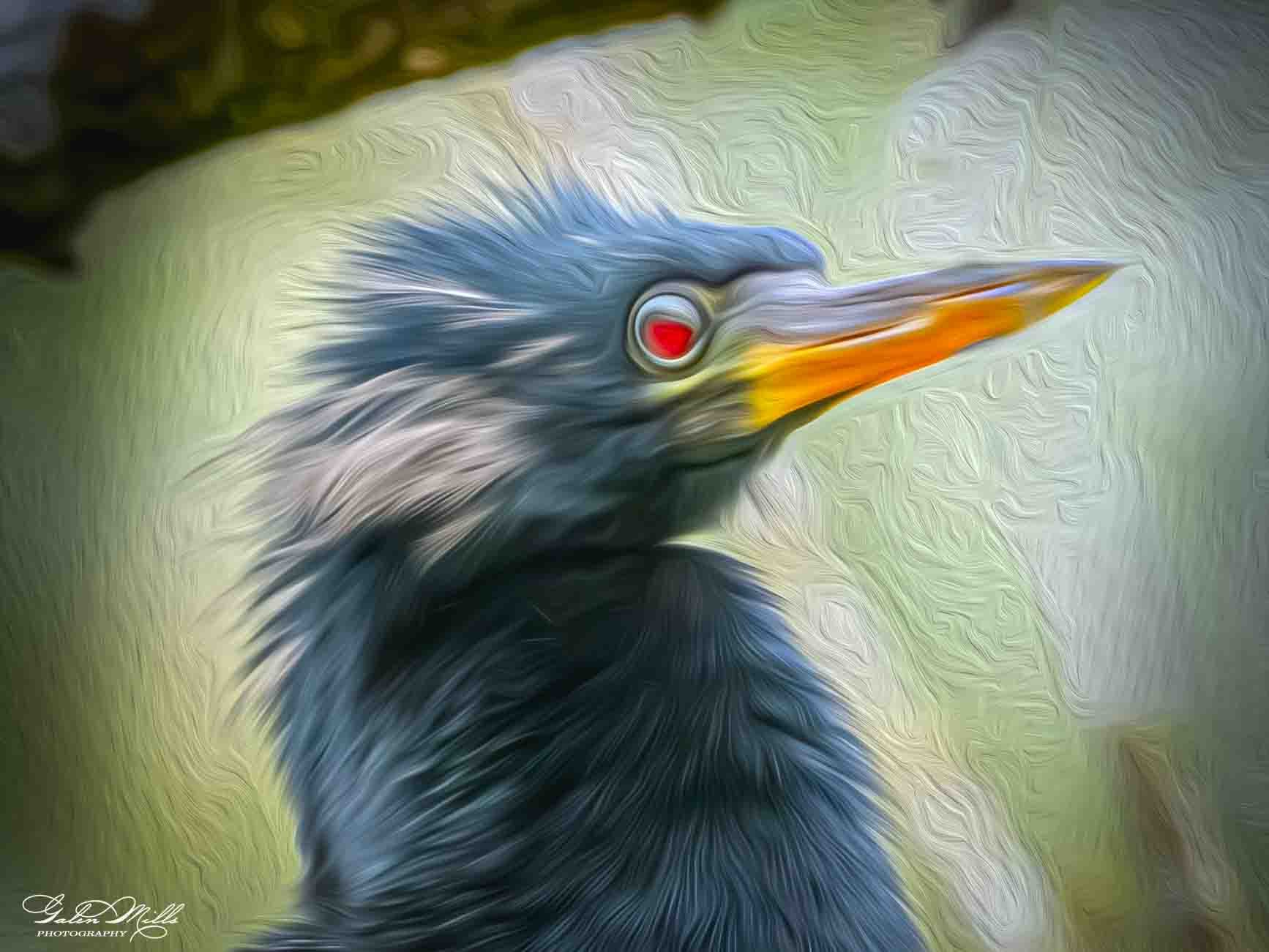 SS Photo Art -72.jpg