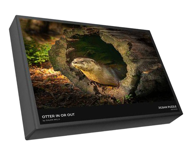 A puzzle box featuring a photo of an otter peeking through a hole in a log, with trees and foliage in the background.