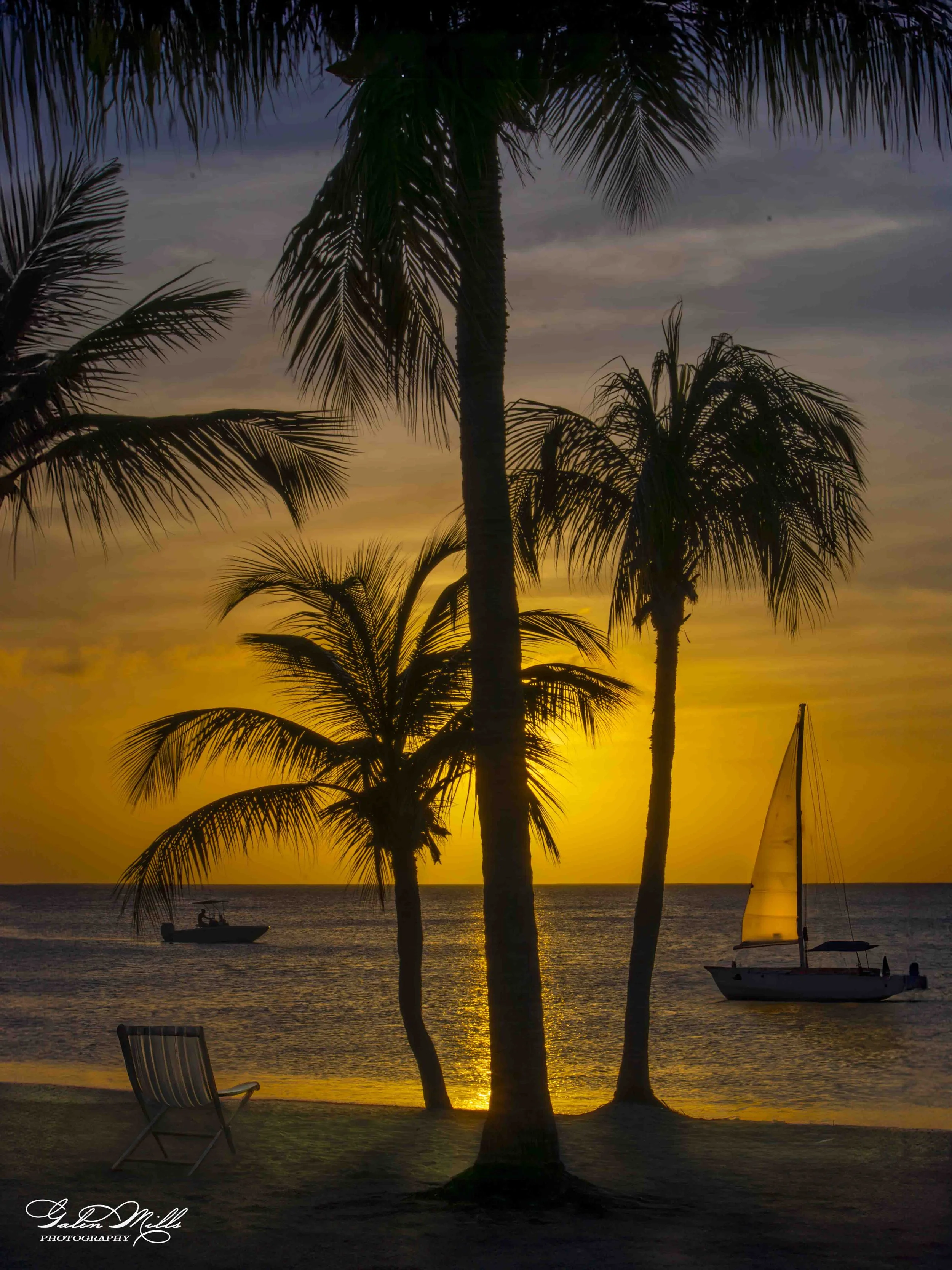 Palm Trees Against an Aruba Sunset