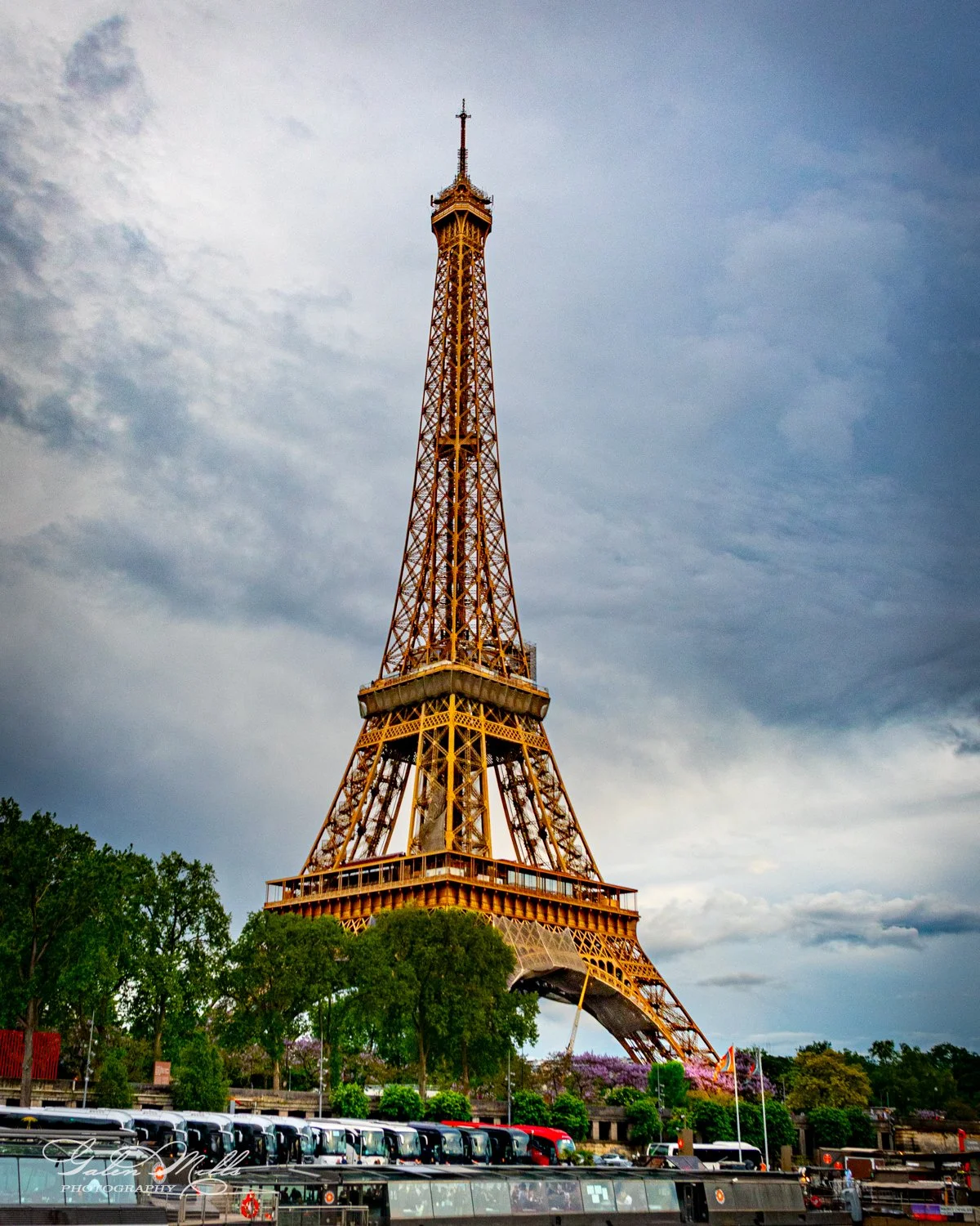 Eiffel Tower under a cloudy sky with surrounding greenery.