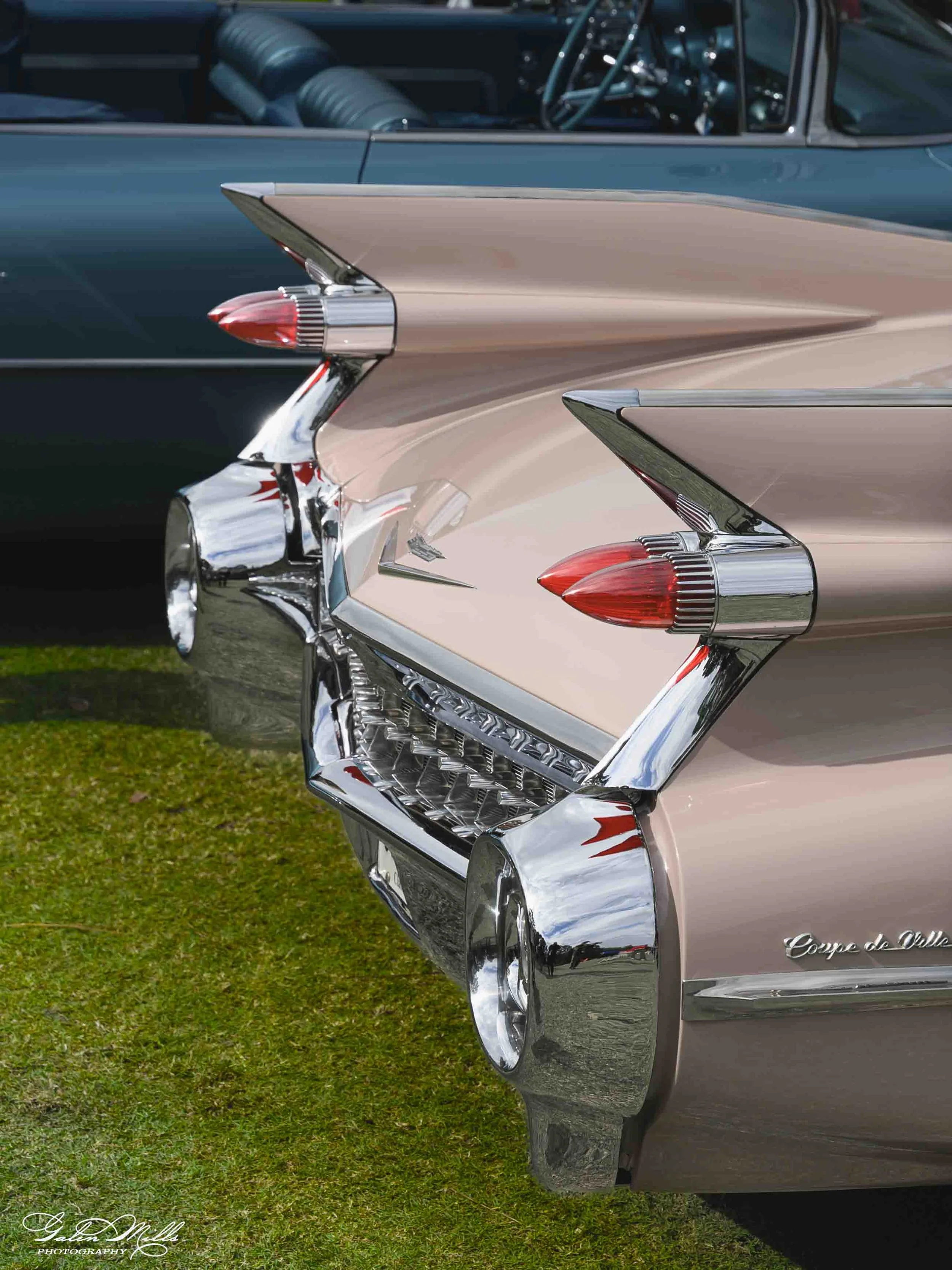 Close-up of the rear end of classic Cadillac vintage car parked side on grass, showing their tail fins, chrome details, and taillights, with a blue version in the background and a cream-colored one in the foreground.