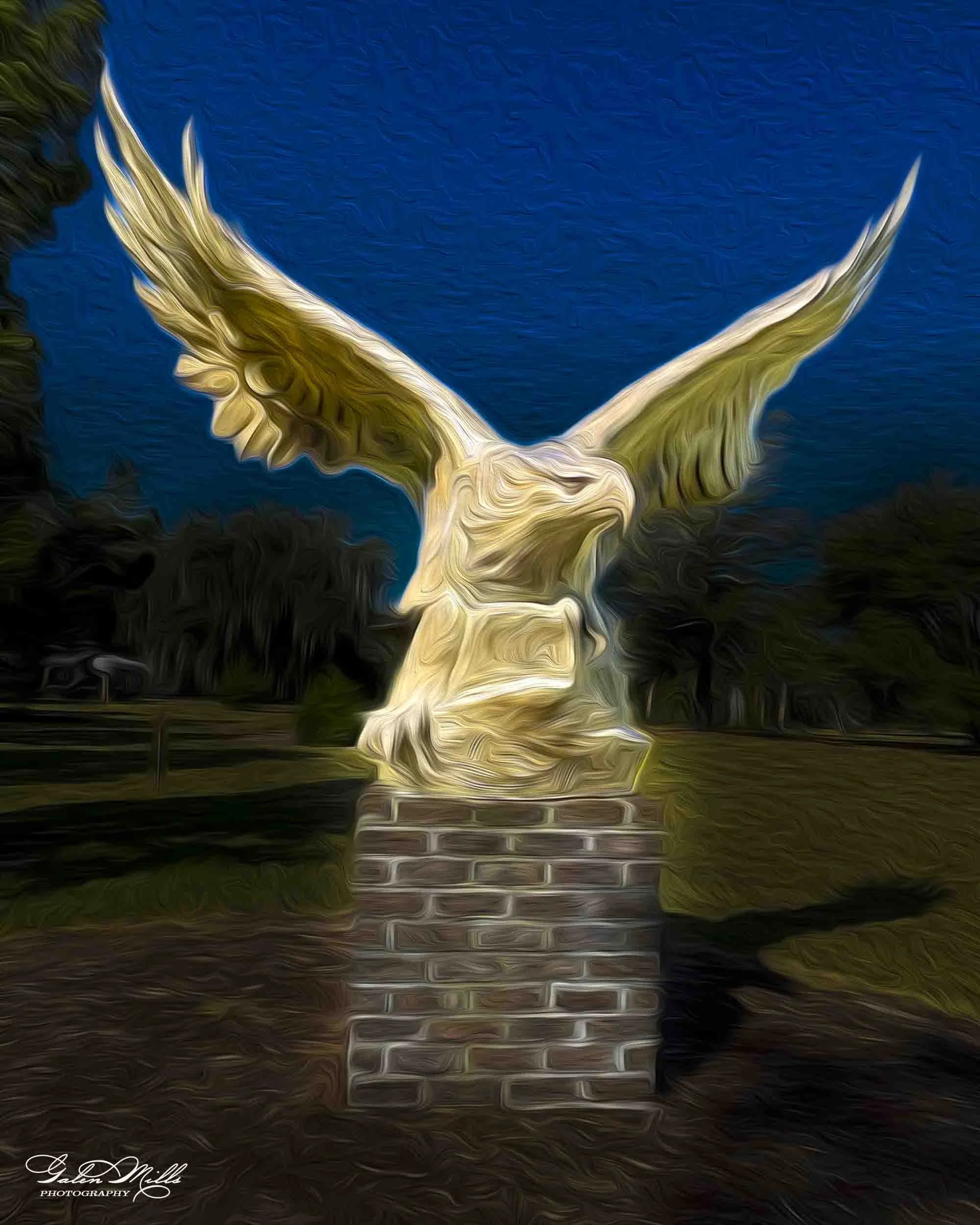 SS photo art-37.jpg