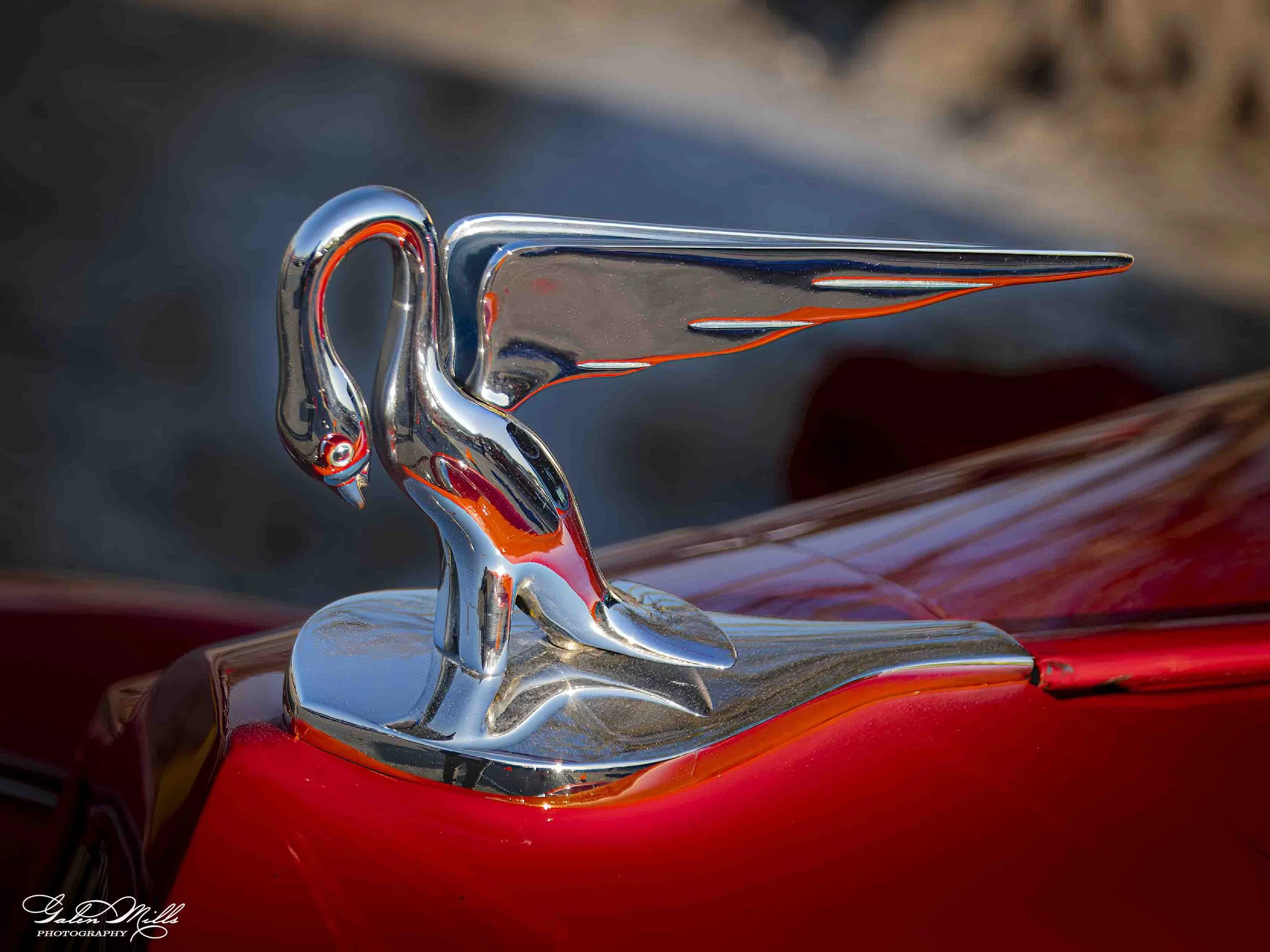 SS automotive-63.jpg