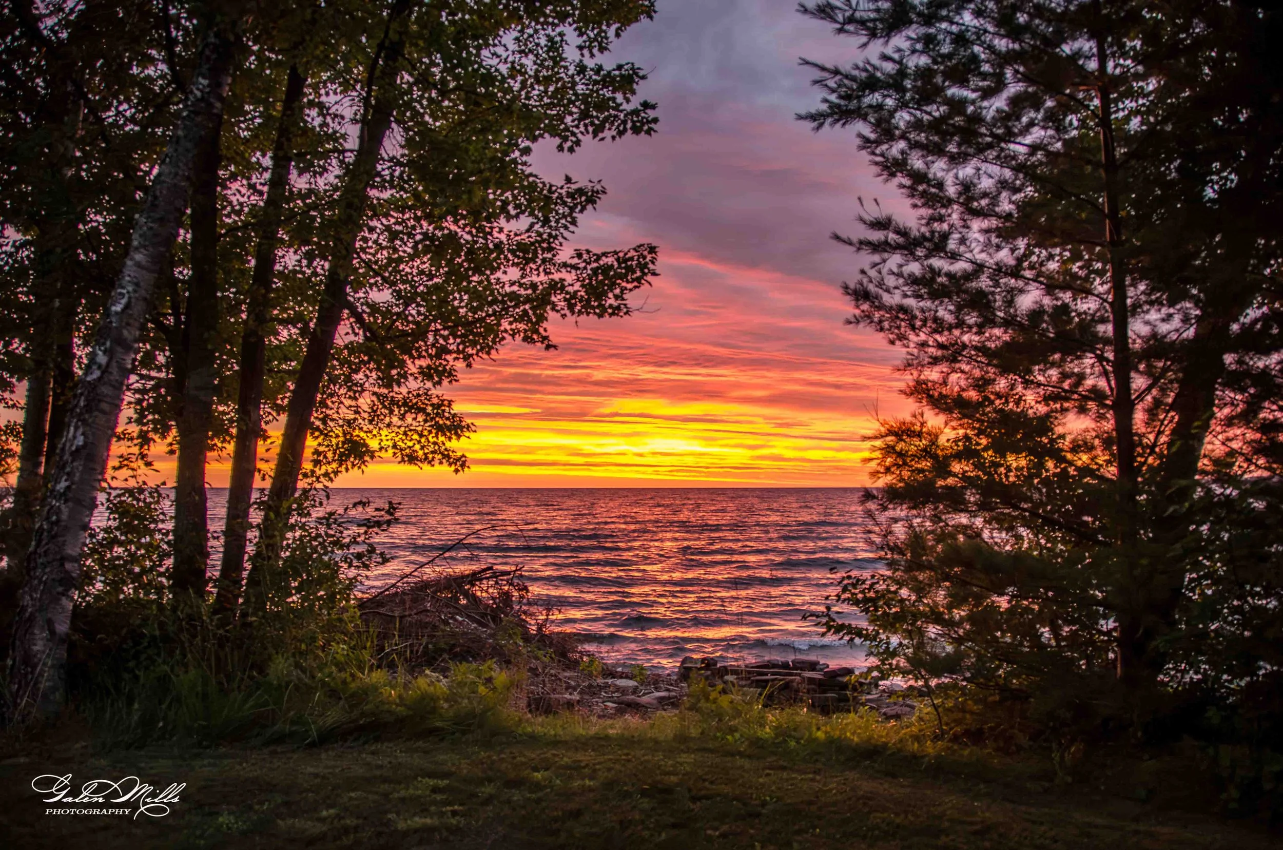 Sunset over a body of water, viewed through trees, with colorful sky and calm waves.