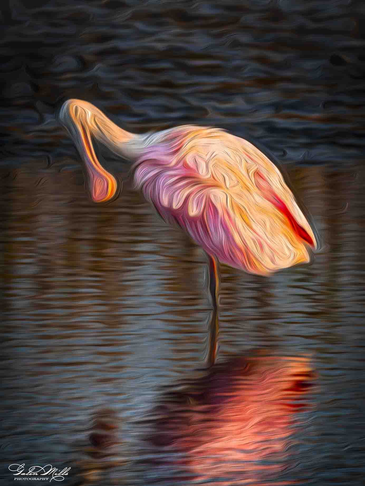 SS Photo Art -12.jpg