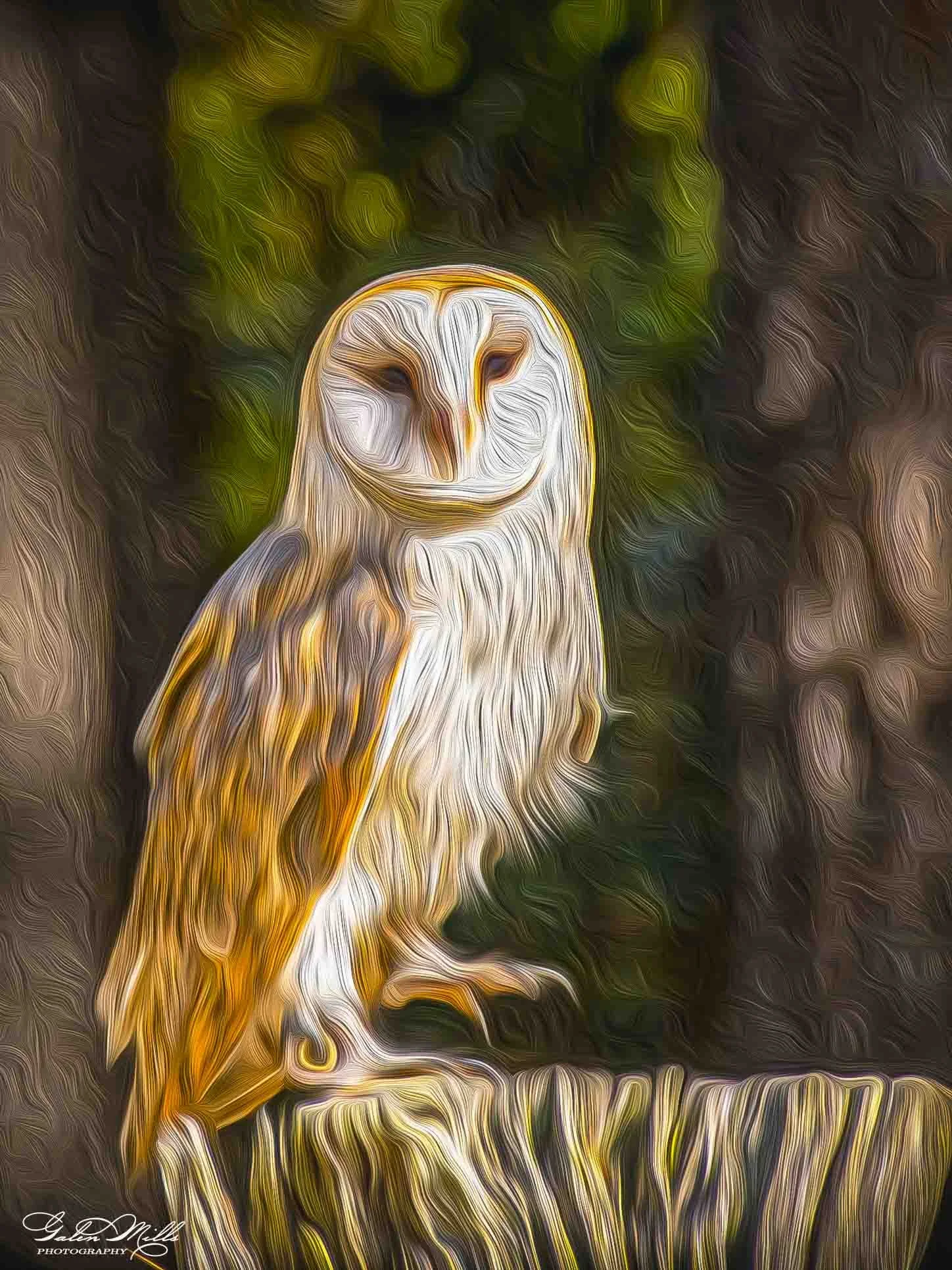 SS Photo Art -4.jpg