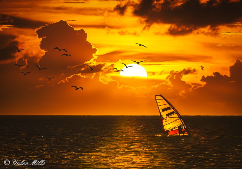 Windsurfing at sunset with seagulls and dramatic clouds over the ocean, sun partially visible.