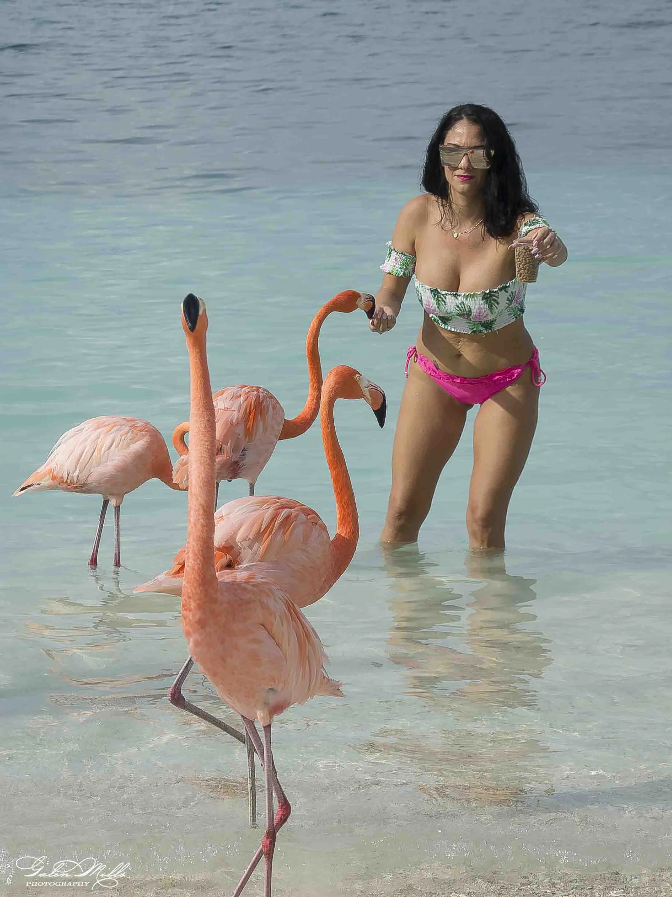 A woman in pink bikini bottoms and a floral top stands in shallow water holding a cup of chickpeas and pointing at two pink flamingos, with the ocean in the background.