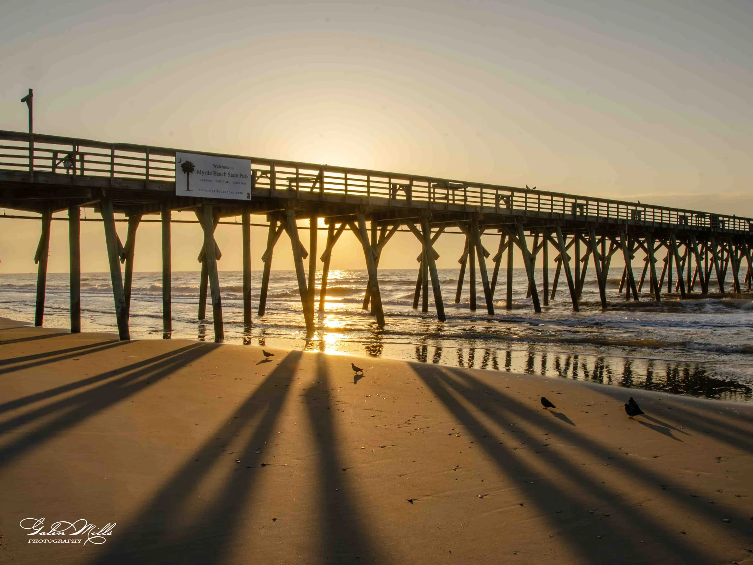 A wooden pier extending into the ocean during sunset, with shadows cast on the sandy beach and seagulls on the sand. A sign on the pier reads "Welcome to Myrtle Beach State Park."