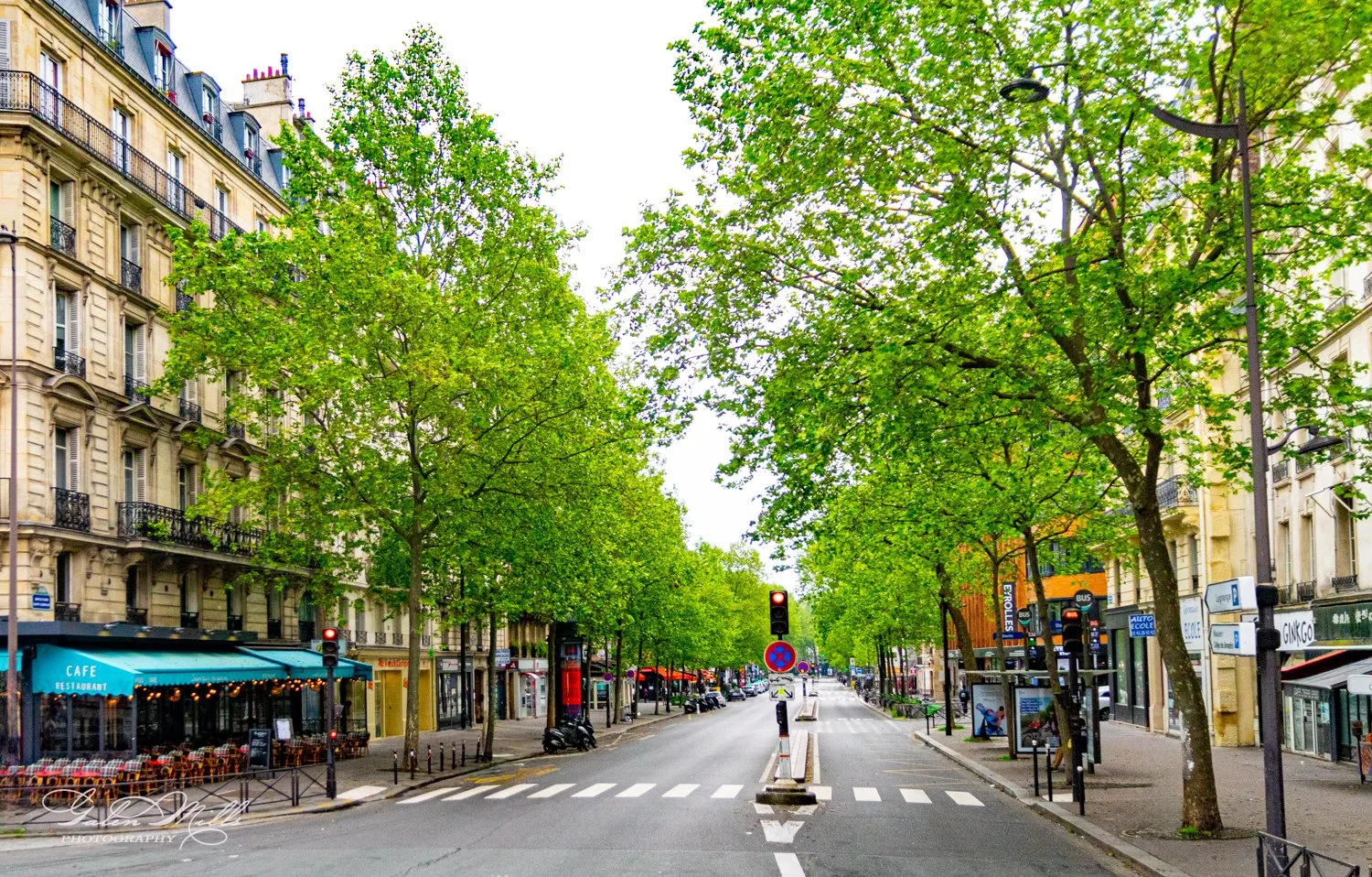Tree-lined city street with buildings and café, on a cloudy day.