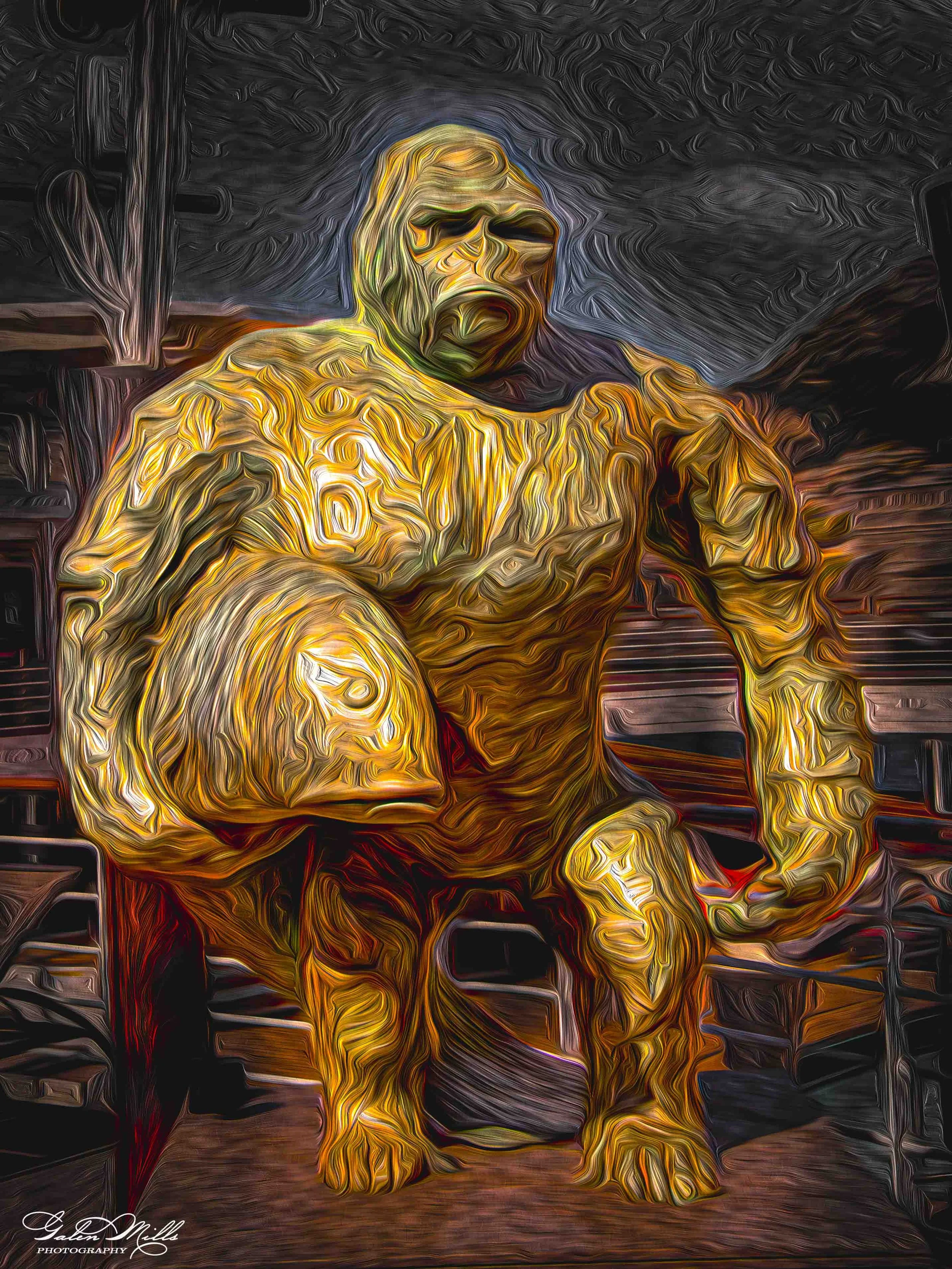 SS Photo Art -5.jpg