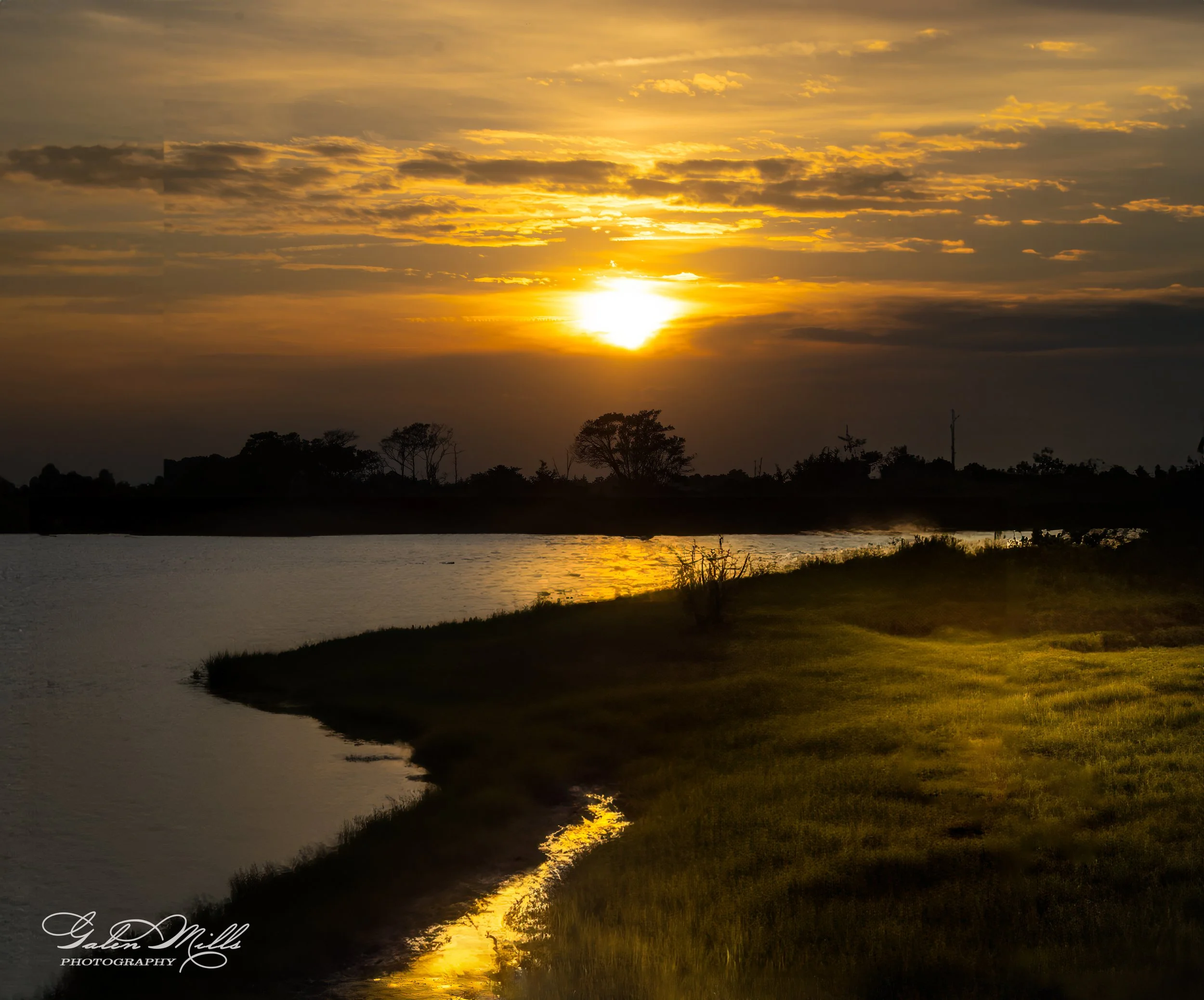 Sunset over a tranquil lake with silhouetted trees and grass reflecting the golden sunlight.