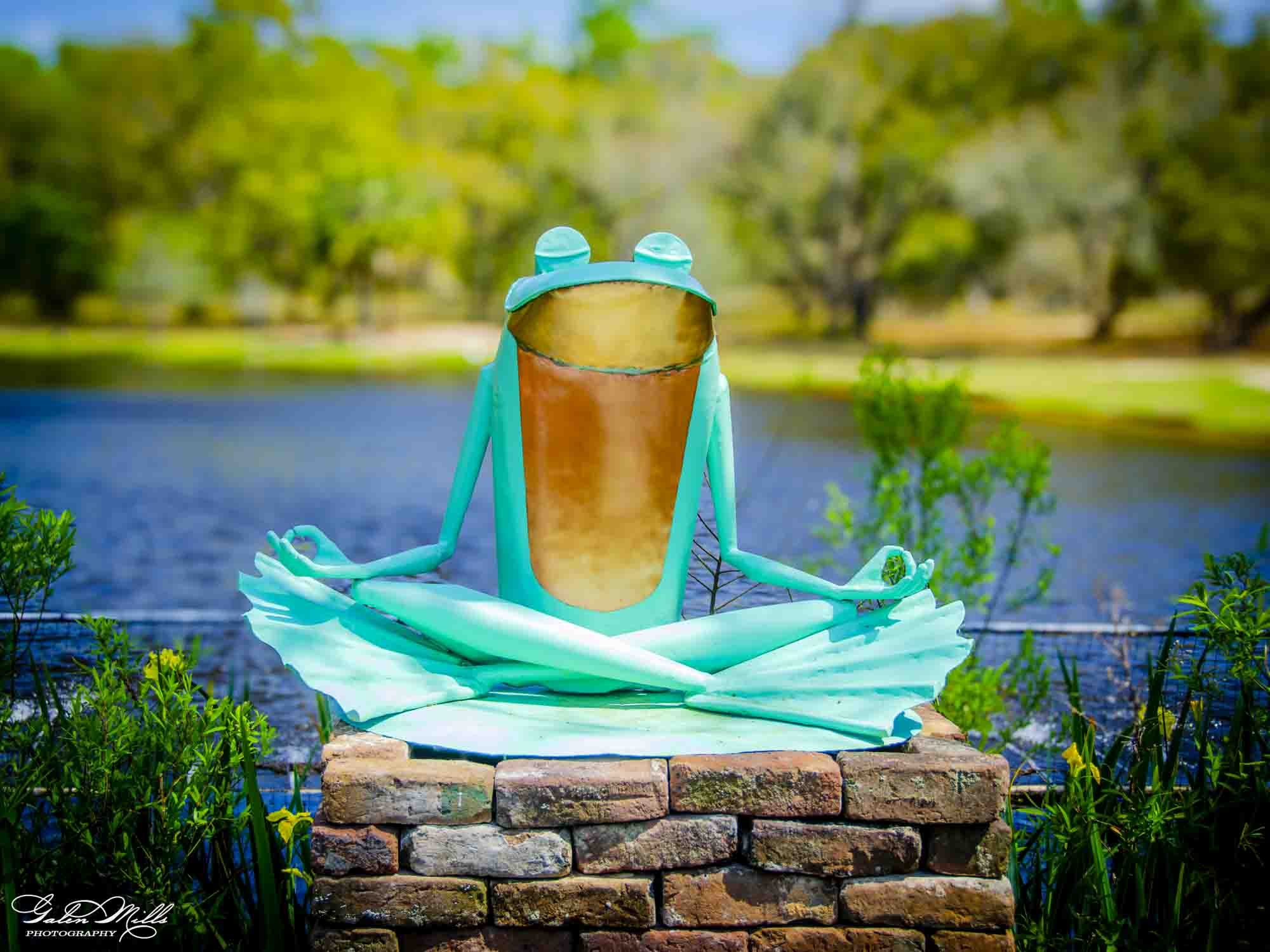 Meditating Frog